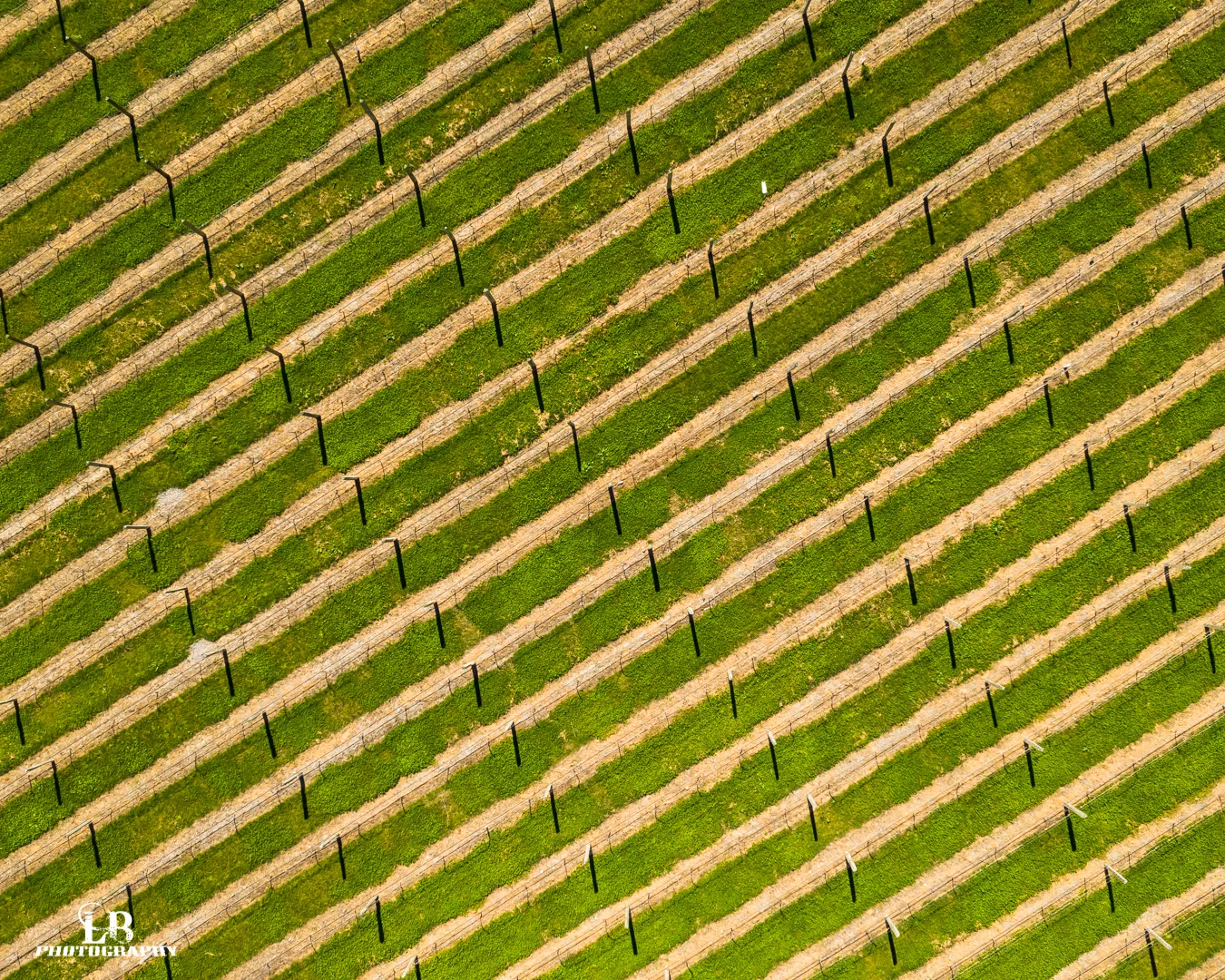 DJI_0344.jpg