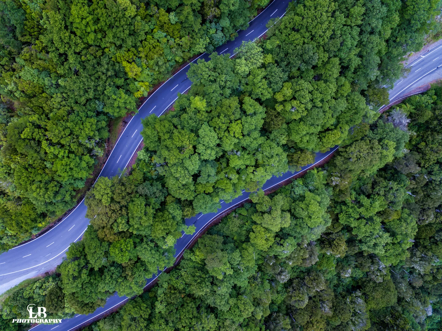 DJI_0280_1_2_3_4_tonemapped.jpg