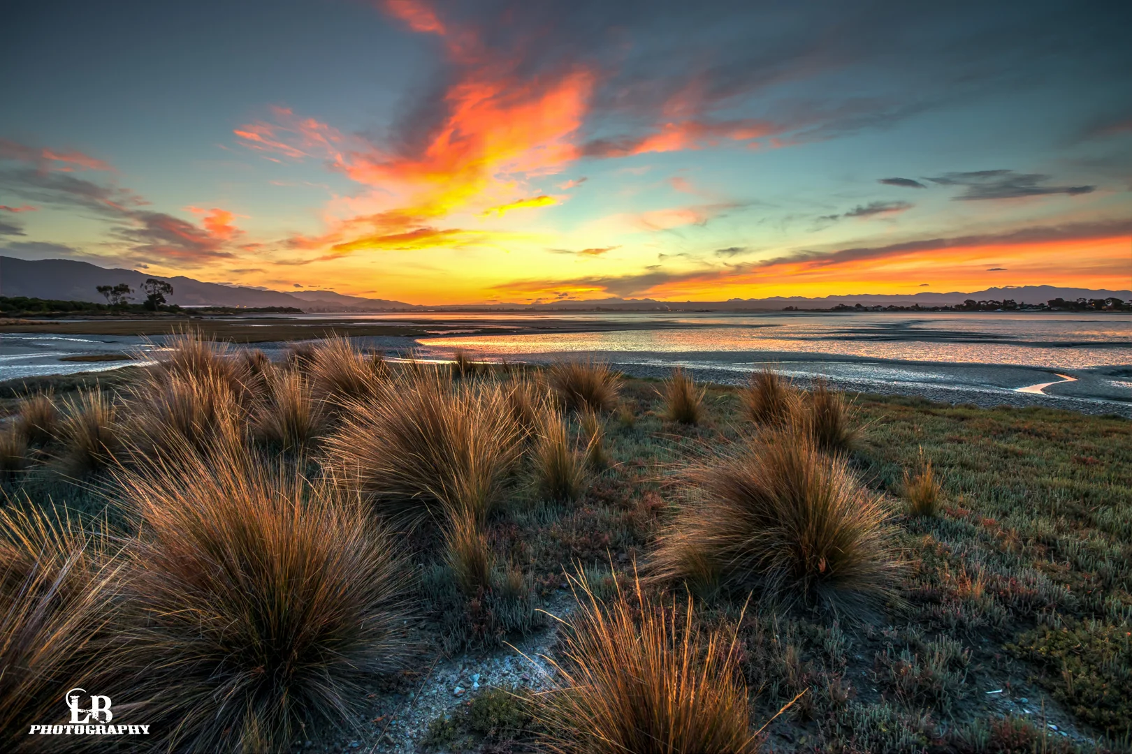 IMG_8707_08_09_10_11_tonemapped-first.jpg