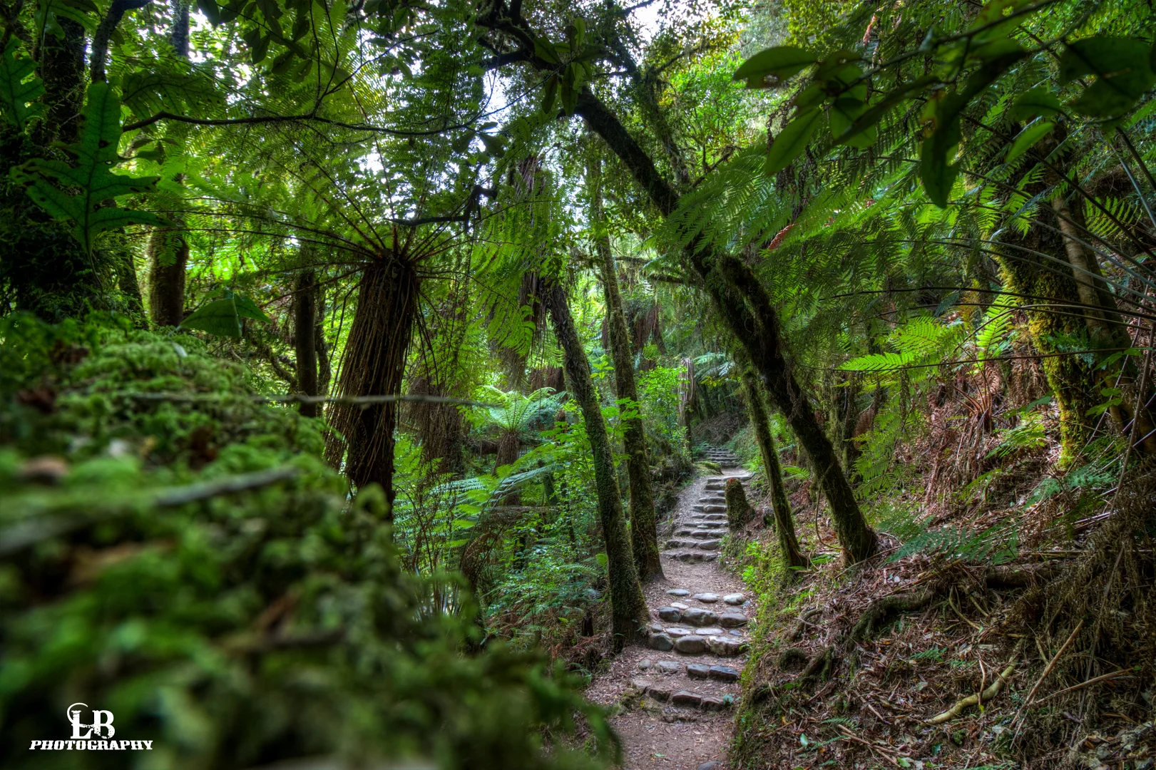 IMG_0490_1_2_3_4_tonemapped.jpg