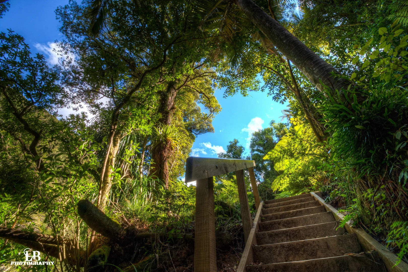 IMG_1290_1_2_3_4_tonemapped.jpg