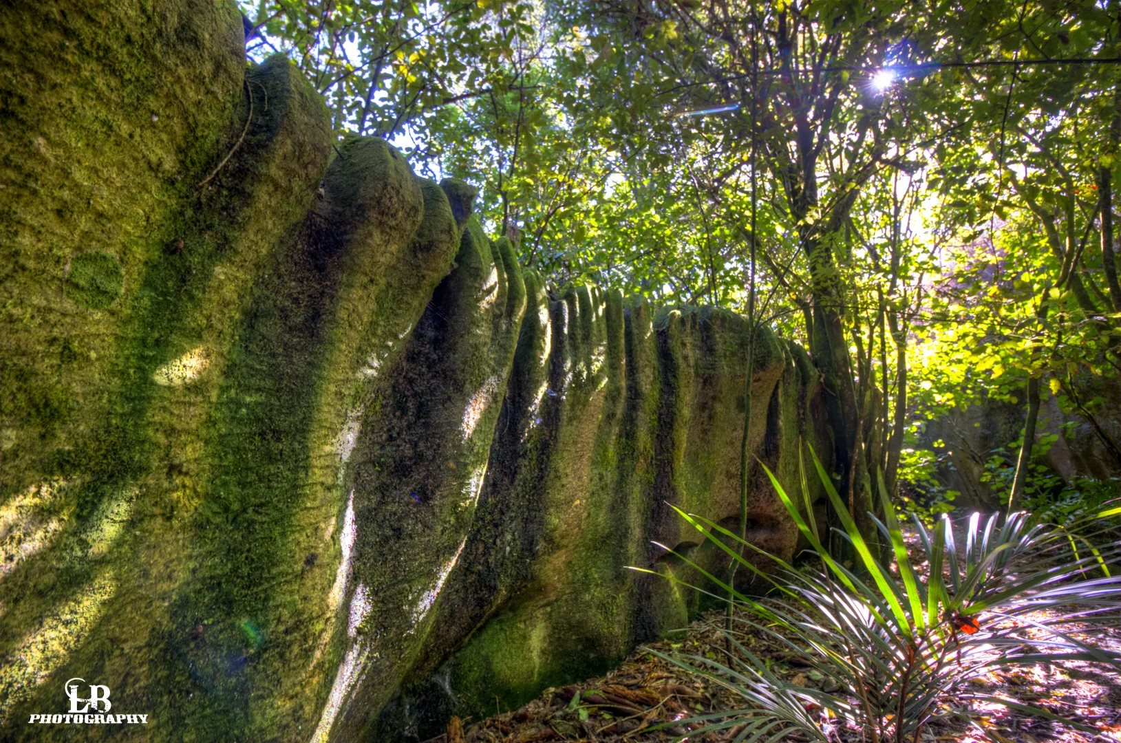 IMG_2653_4_5_6_7_tonemapped.jpg
