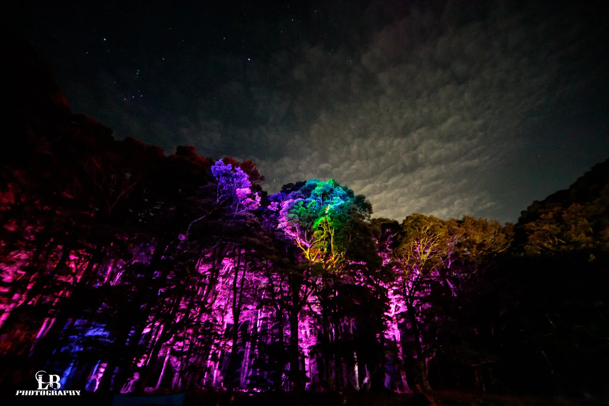 026 - LBP-Omnishakti-2021-Web-Res.JPG