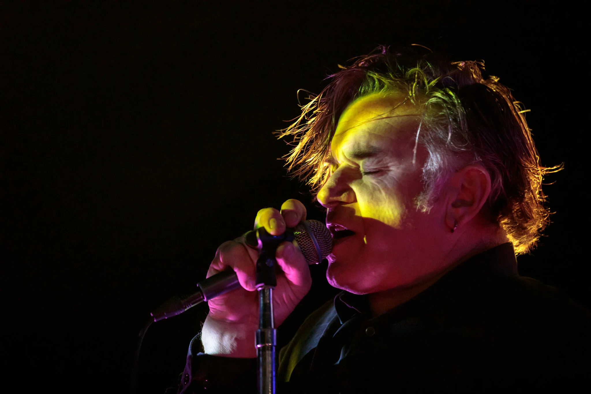 003 - LBP-Lizard-Kings-Web-Res-.JPG