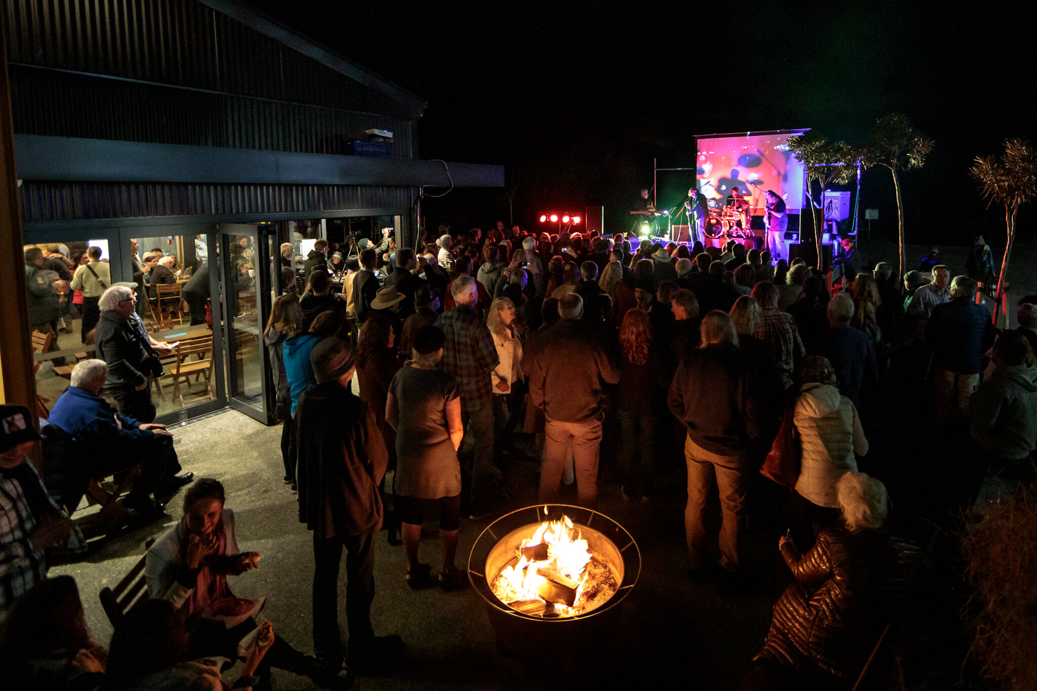 018 - LBP-Lizard-Kings-Web-Res-.JPG