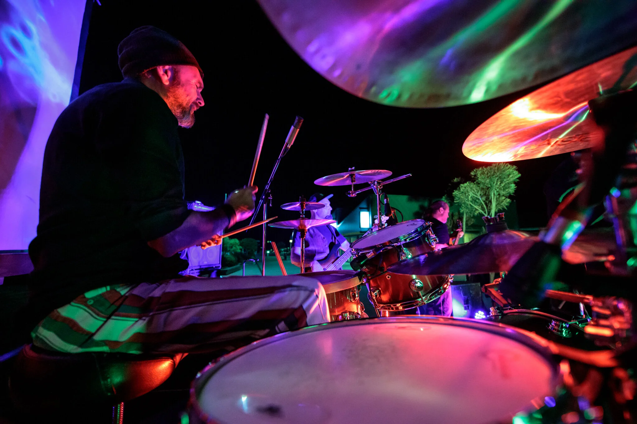 019 - LBP-Lizard-Kings-Web-Res-.JPG