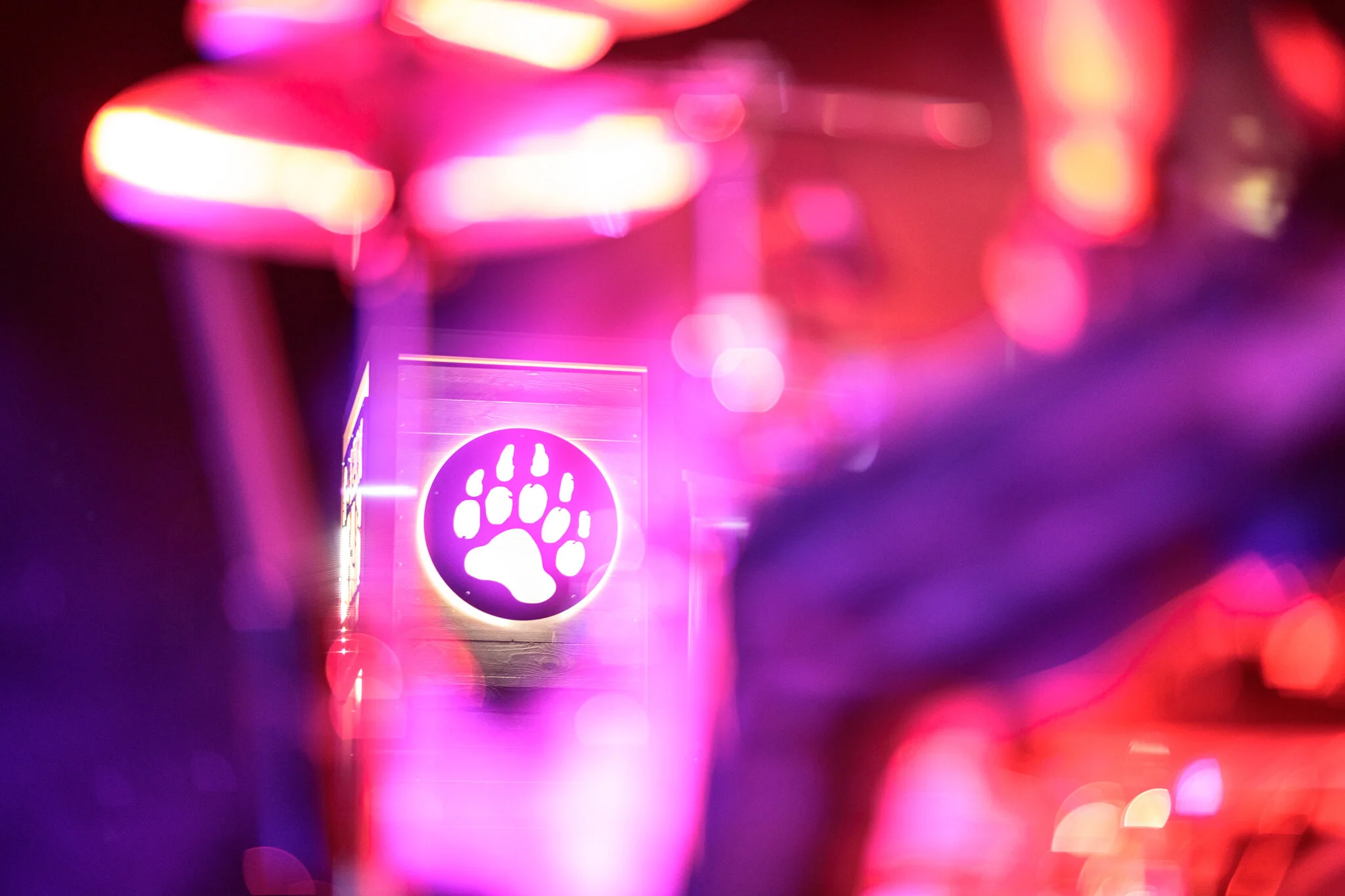 026 - LBP-Lizard-Kings-Web-Res-.JPG