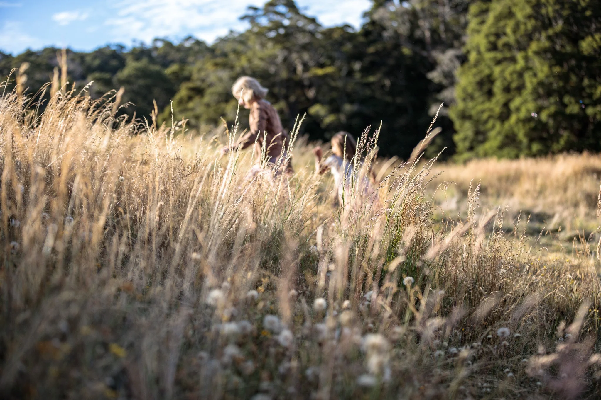 328 - Leroy_Bull_Lunasa-2021 - LB2_3101.JPG