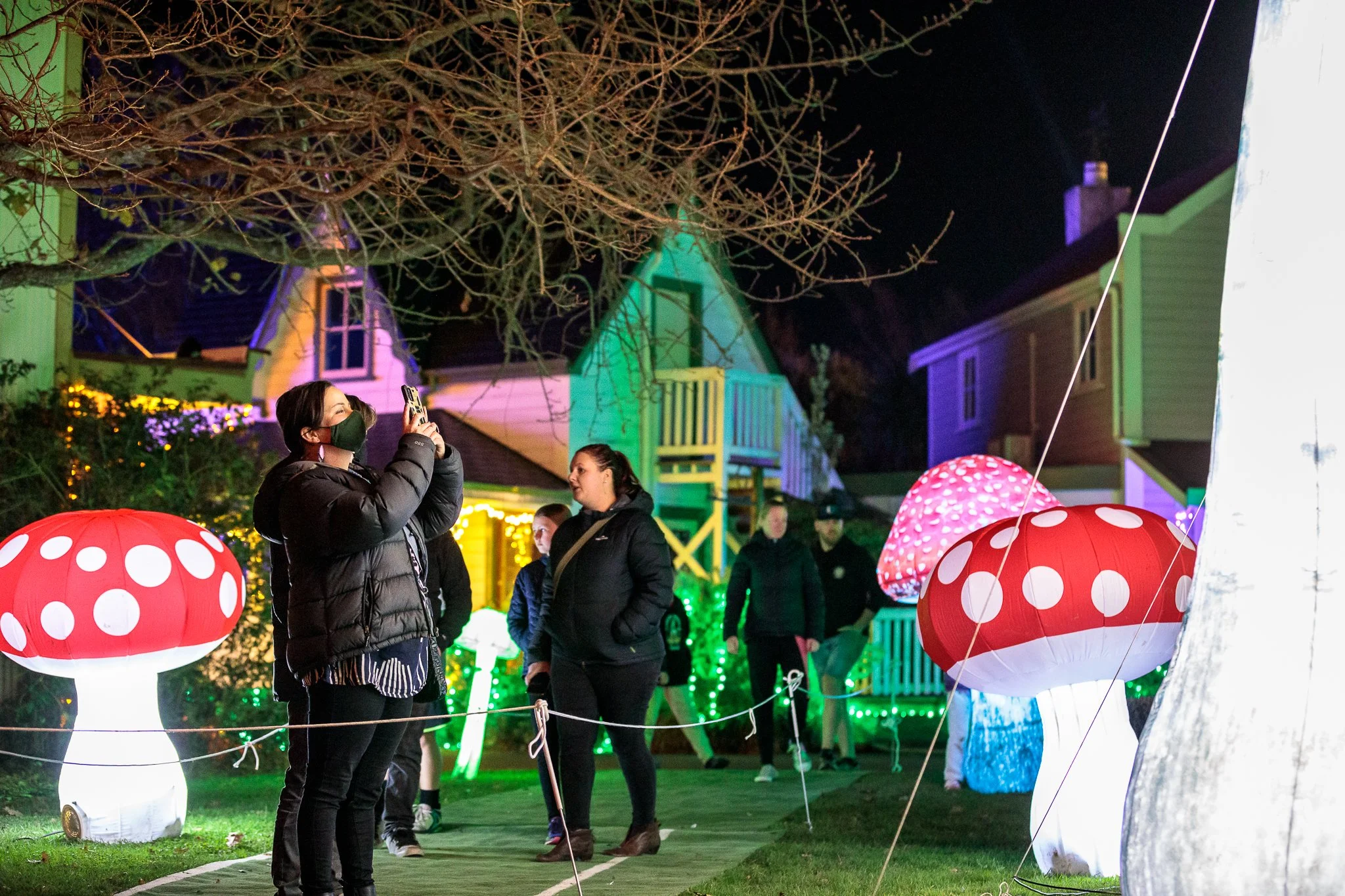 LBP - Illuminate Light Snow - Nelson - 01.JPG