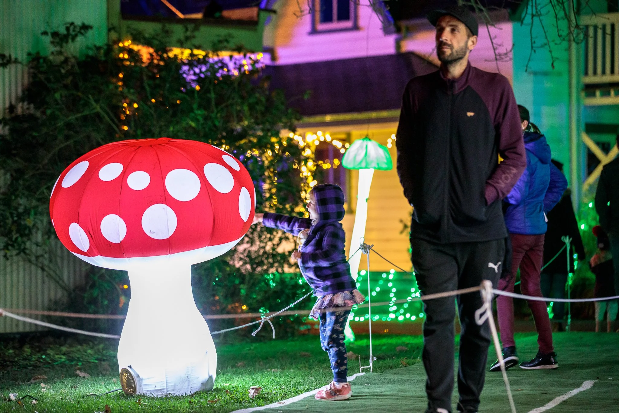 LBP - Illuminate Light Snow - Nelson - 02.JPG