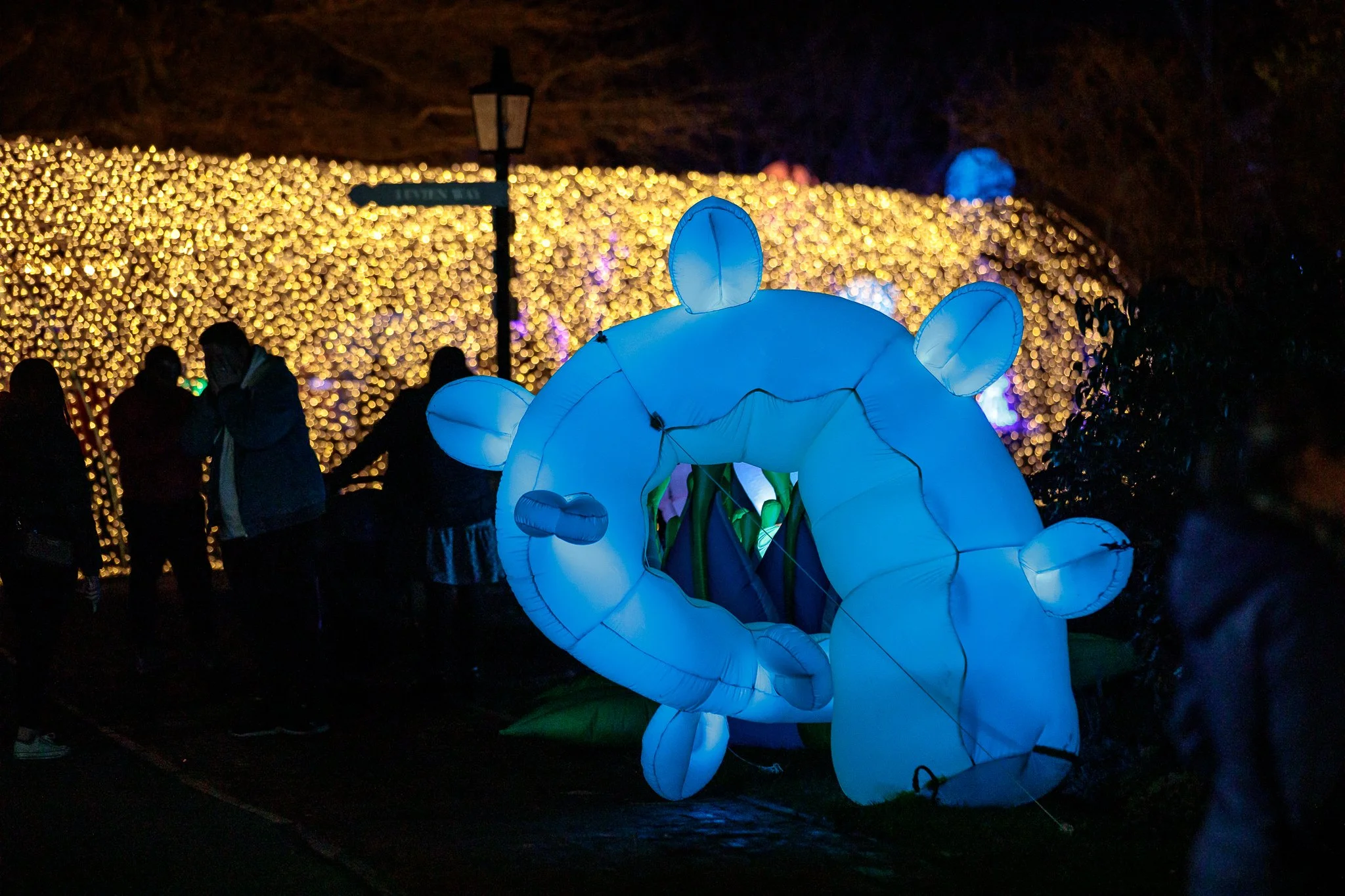 LBP - Illuminate Light Snow - Nelson - 04.JPG