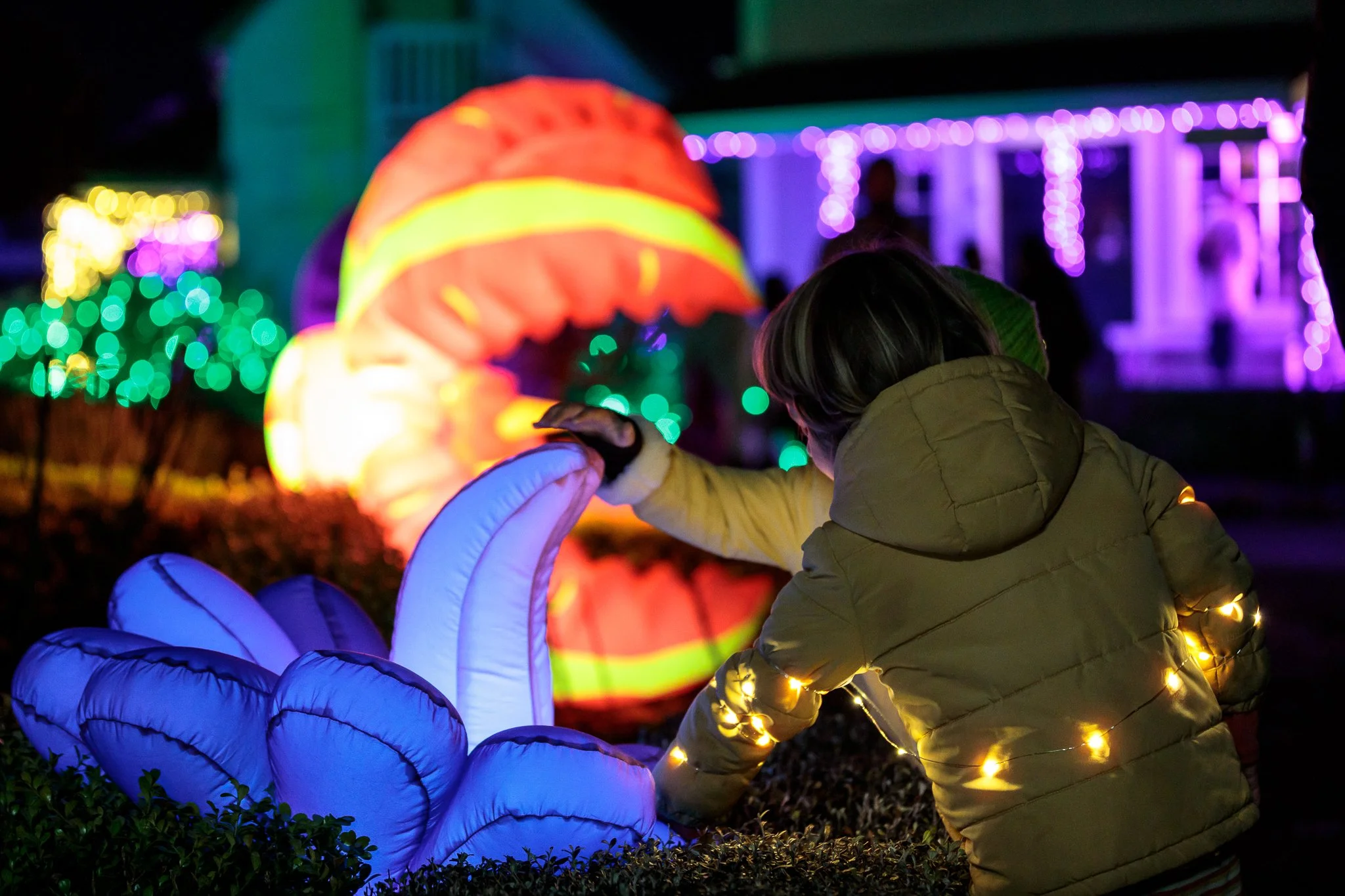 LBP - Illuminate Light Snow - Nelson - 08.JPG