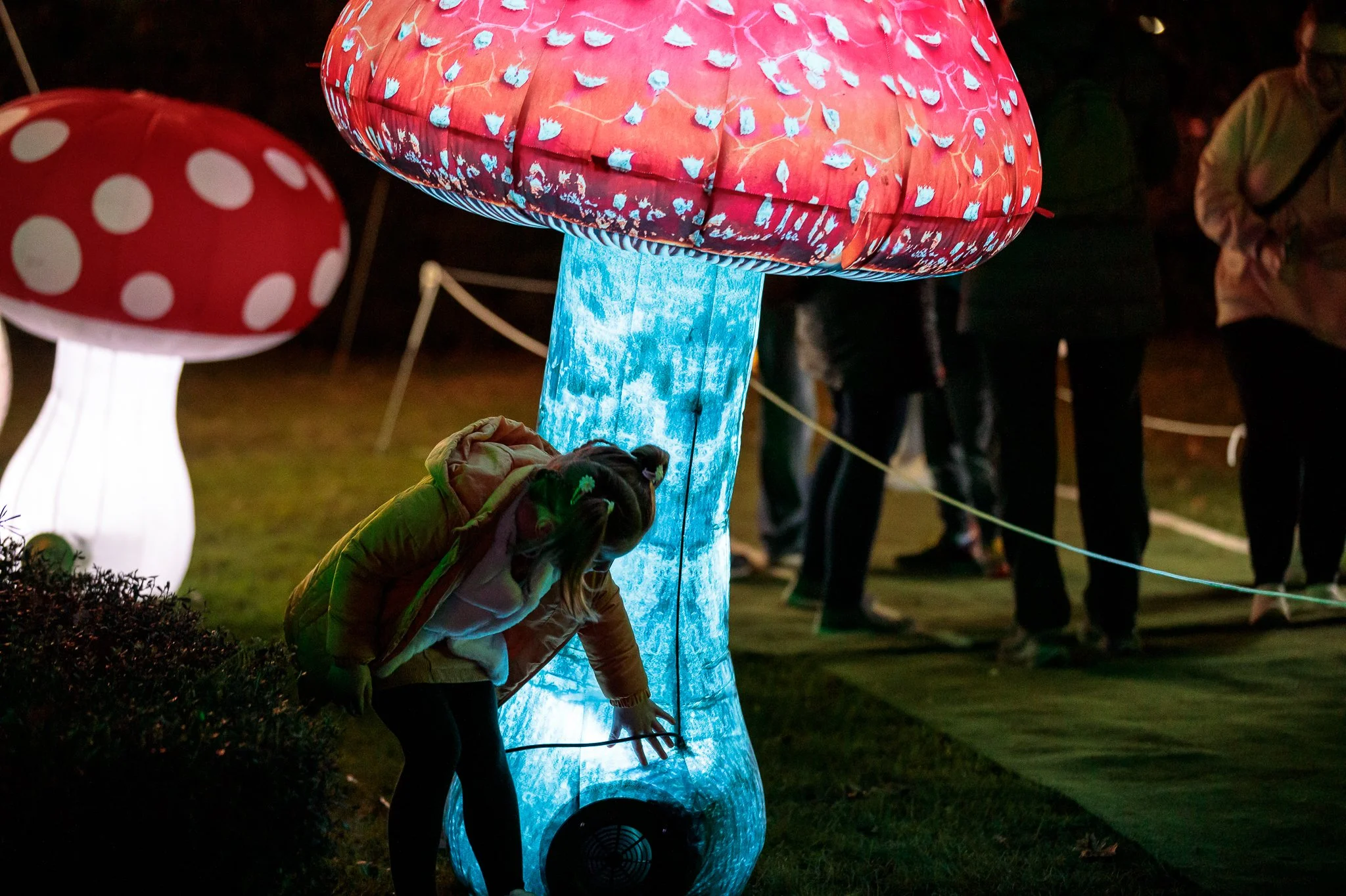LBP - Illuminate Light Snow - Nelson - 10.JPG