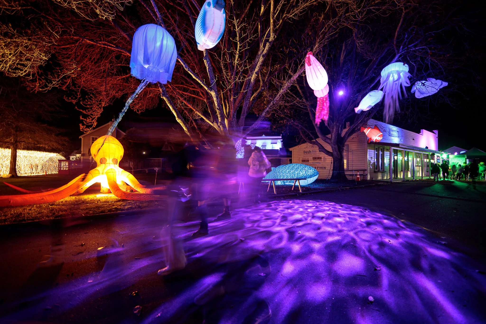LBP - Illuminate Light Snow - Nelson - 16.JPG