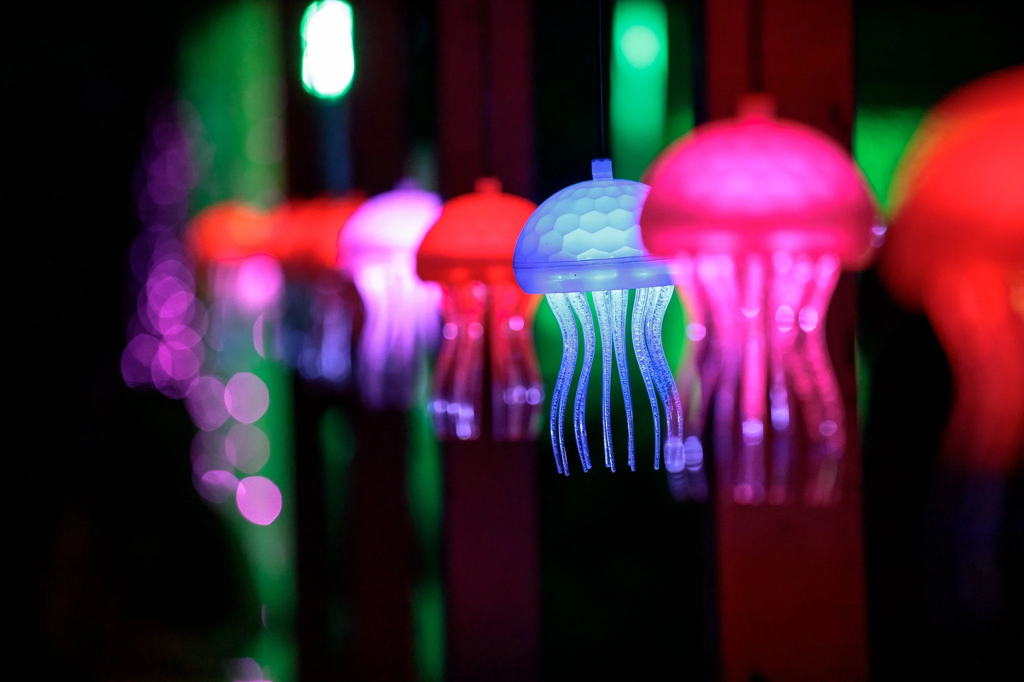 LBP - Illuminate Light Snow - Nelson - 19.JPG