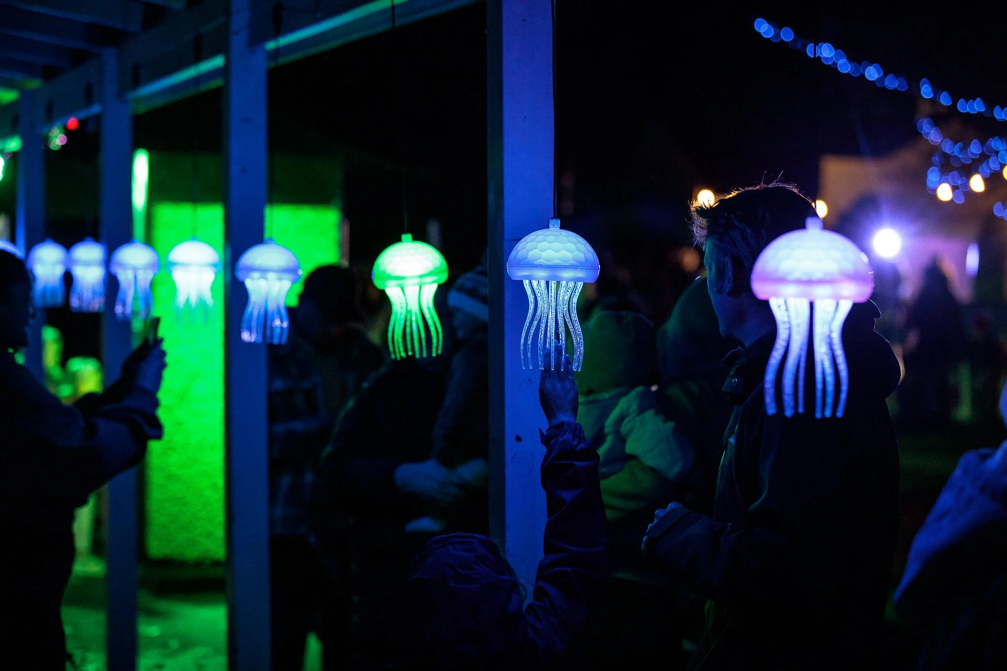LBP - Illuminate Light Snow - Nelson - 18.JPG