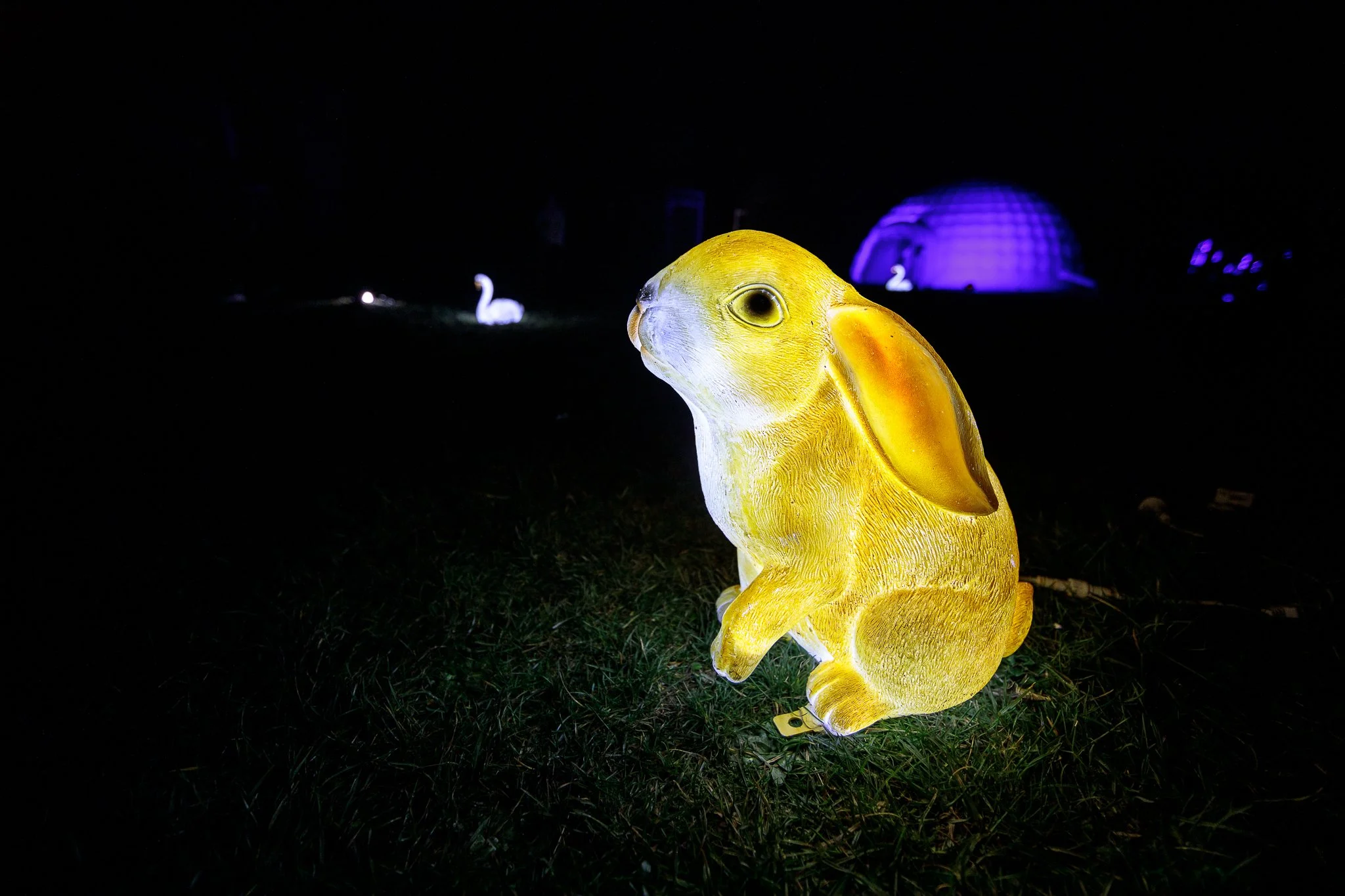 LBP - Illuminate Light Snow - Nelson - 34.JPG