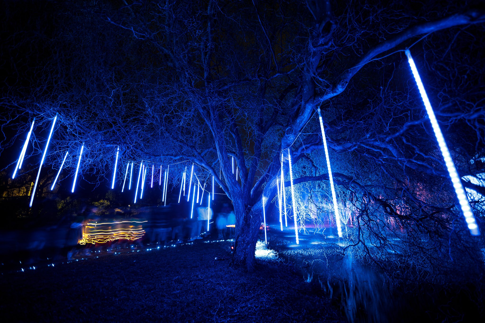 LBP - Illuminate Light Snow - Nelson - 37.JPG