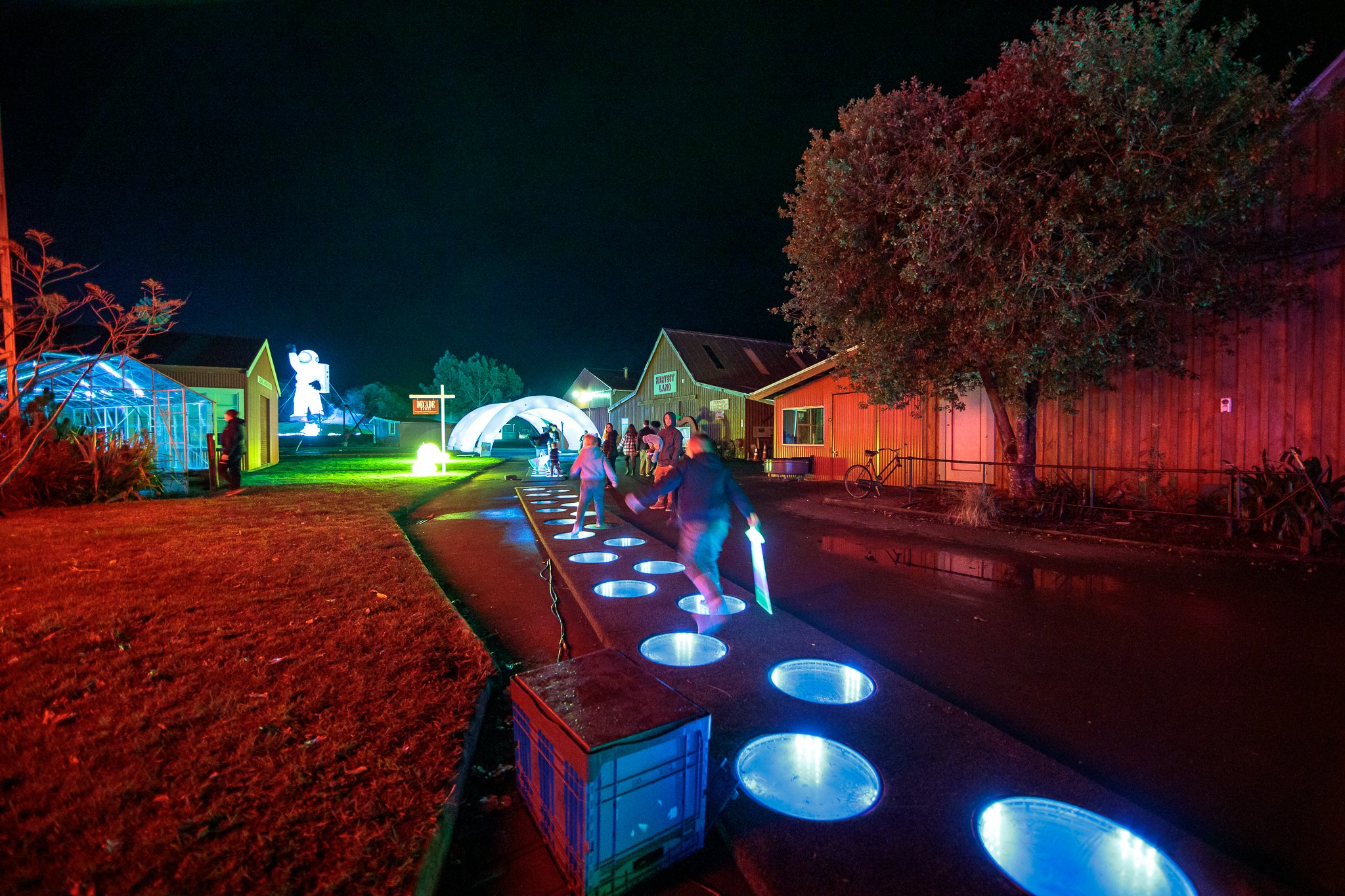LBP - Illuminate Light Snow - Nelson - 52.JPG