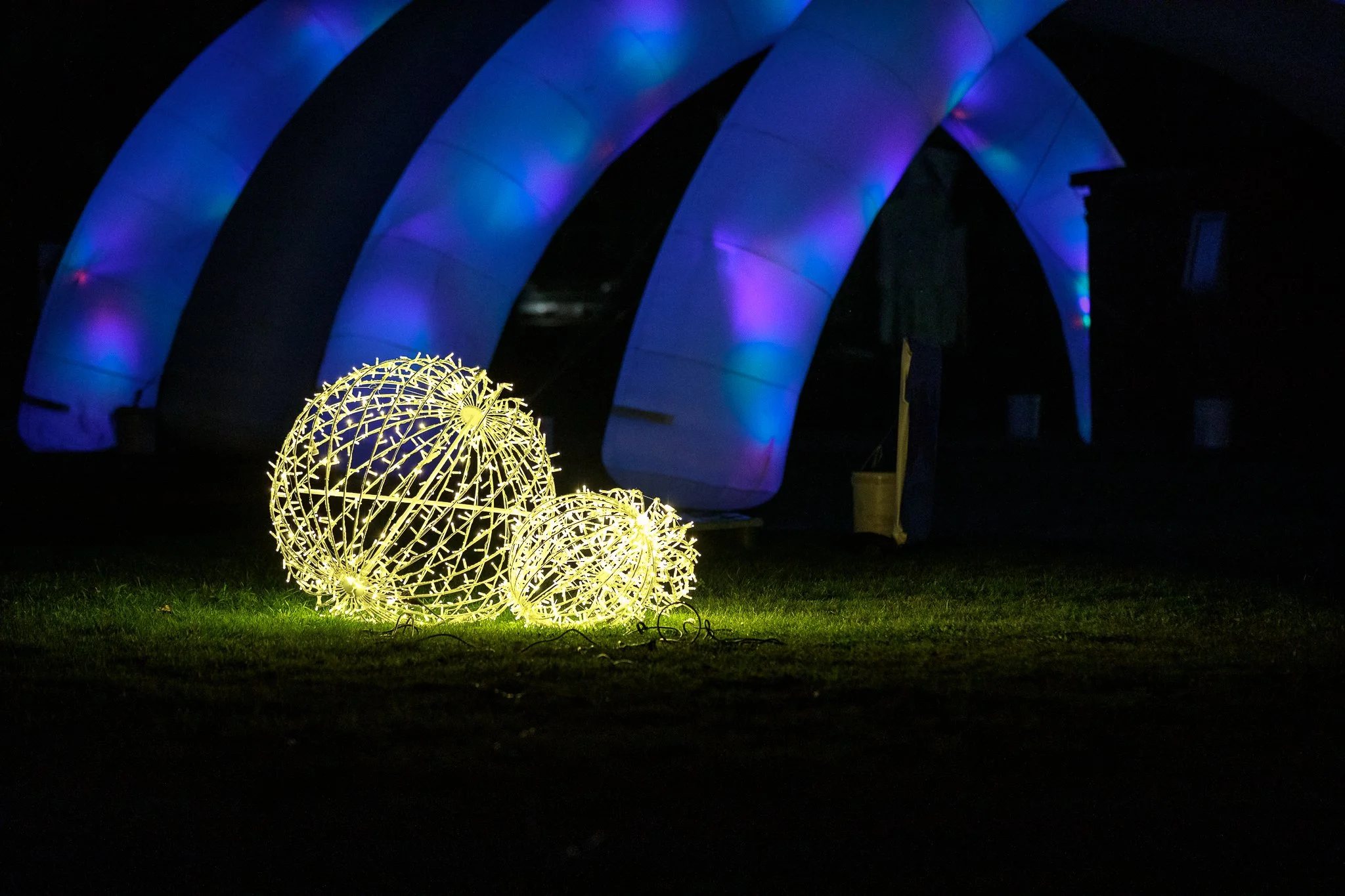 LBP - Illuminate Light Snow - Nelson - 57.JPG