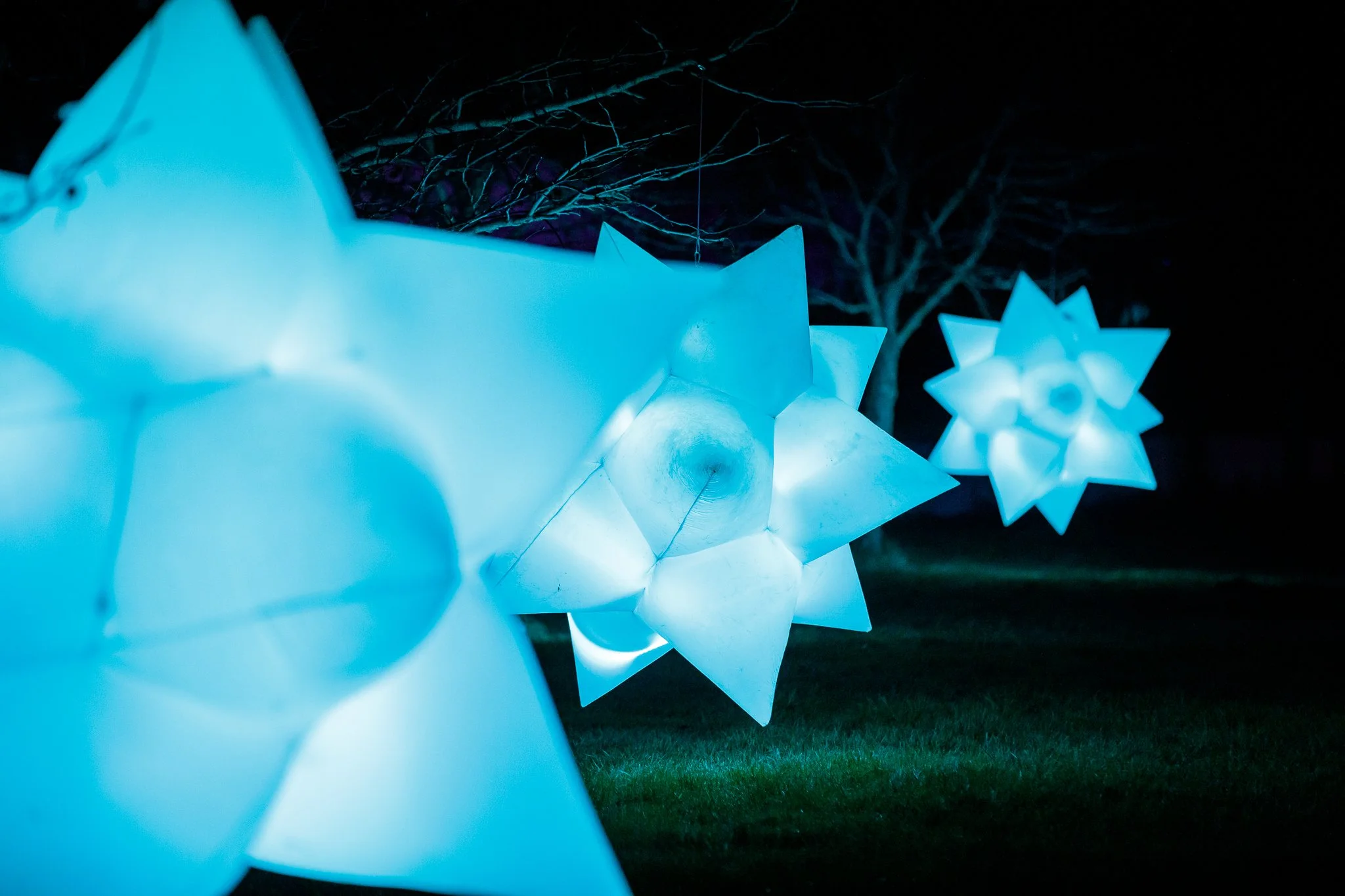 LBP - Illuminate Light Snow - Nelson - 61.JPG