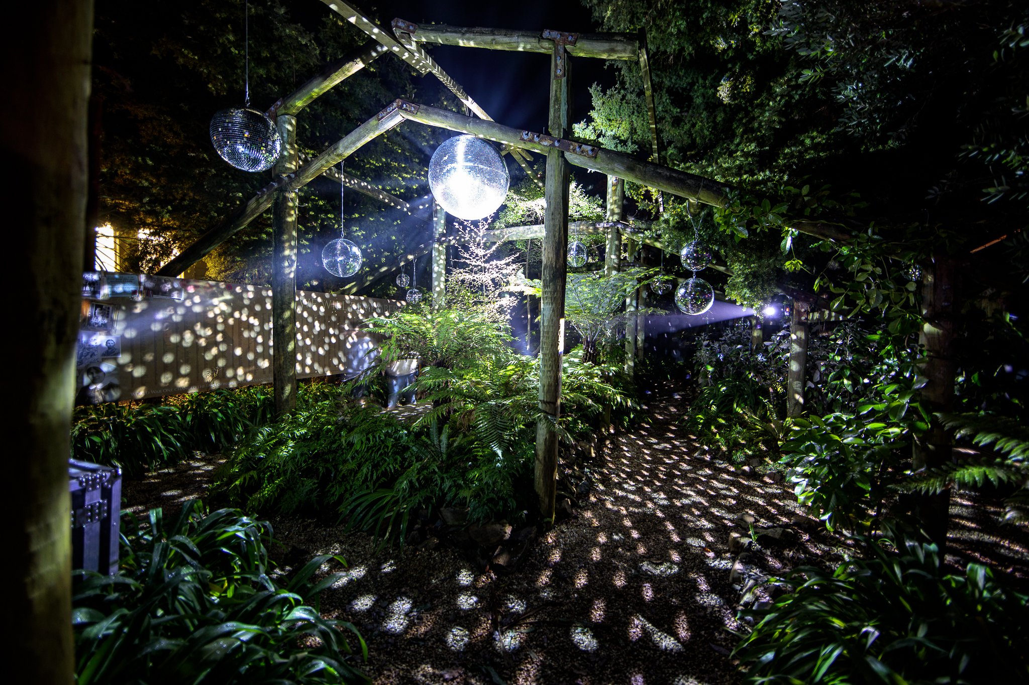 LBP - Illuminate Light Snow - Nelson - 73.JPG