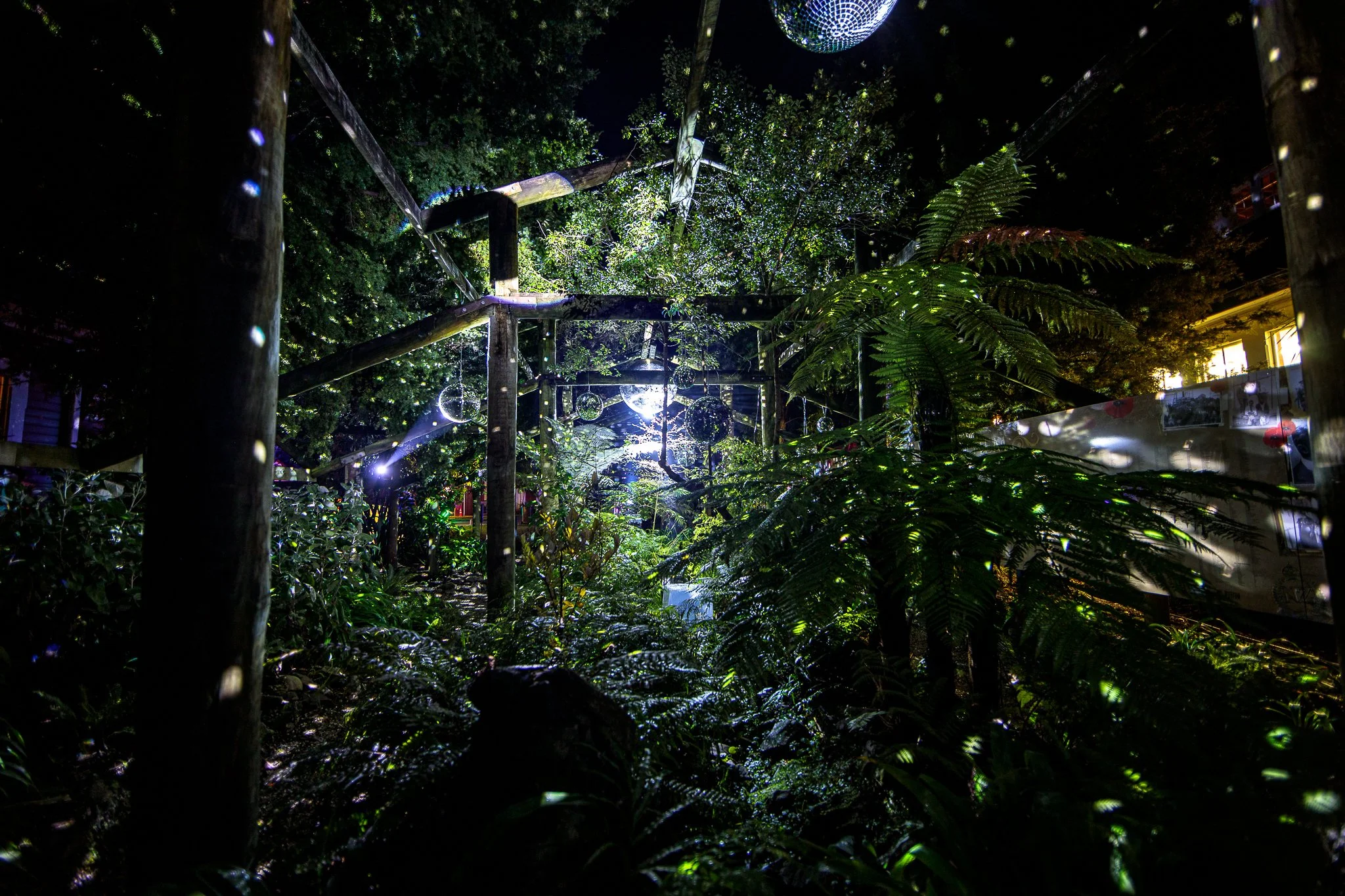LBP - Illuminate Light Snow - Nelson - 75.JPG