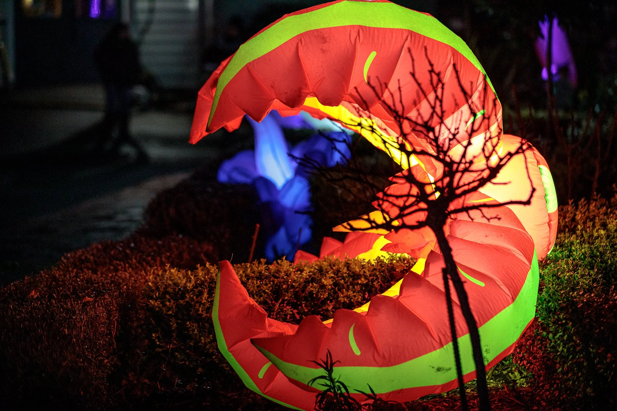 LBP - Illuminate Light Snow - Nelson - 79.JPG