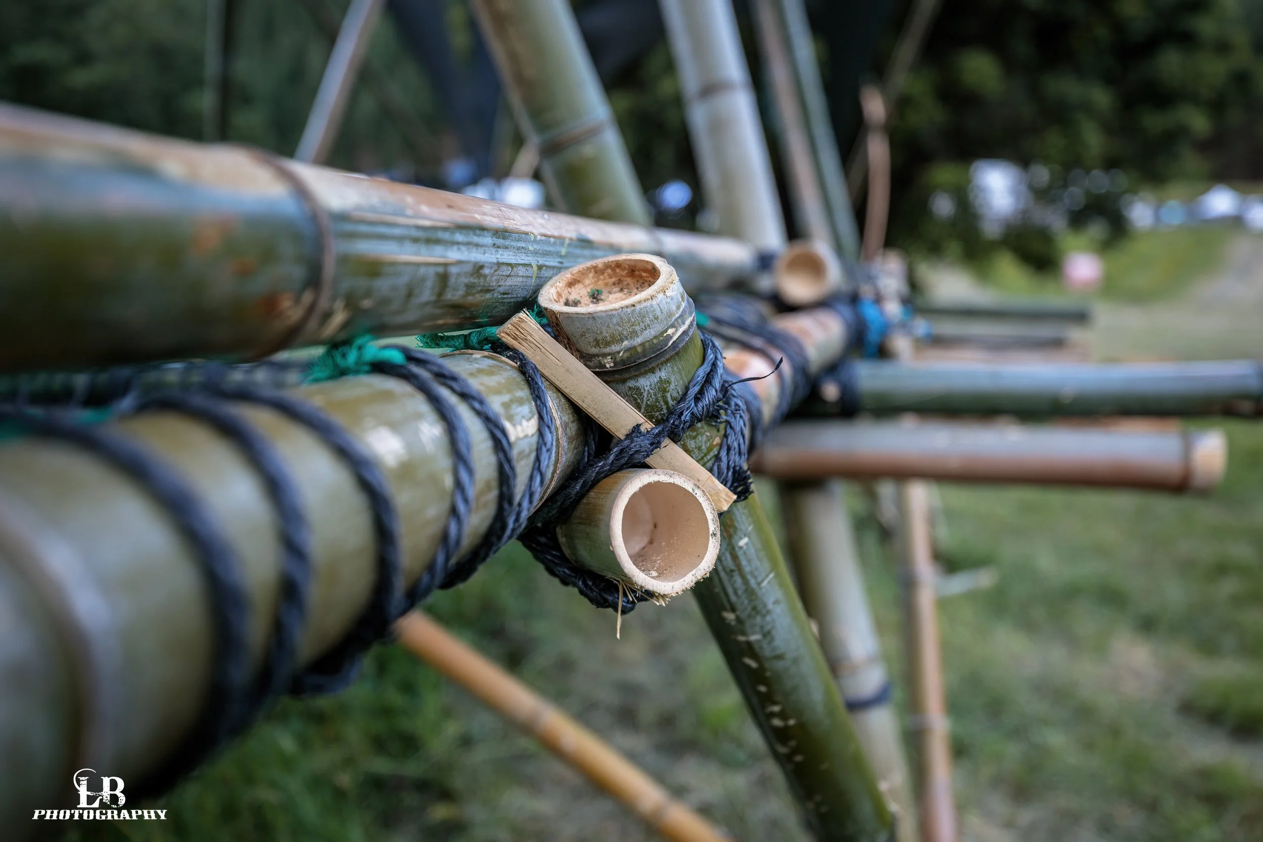 LBP - Twisted Freq - 2023 - 05.JPG