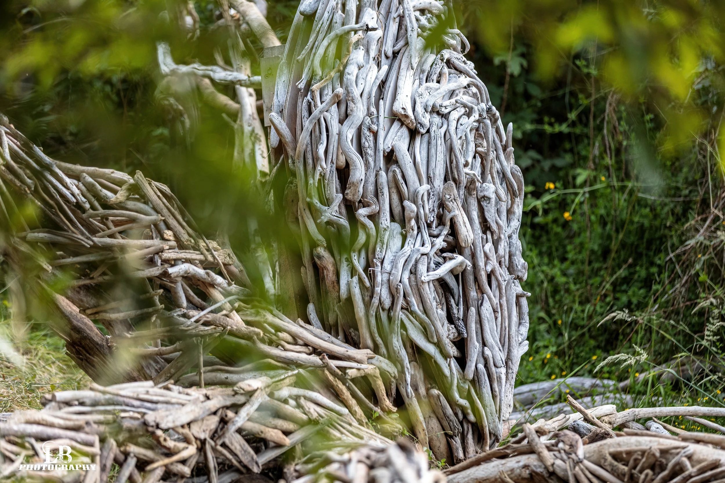 LBP - Twisted Freq - 2023 - 06.JPG