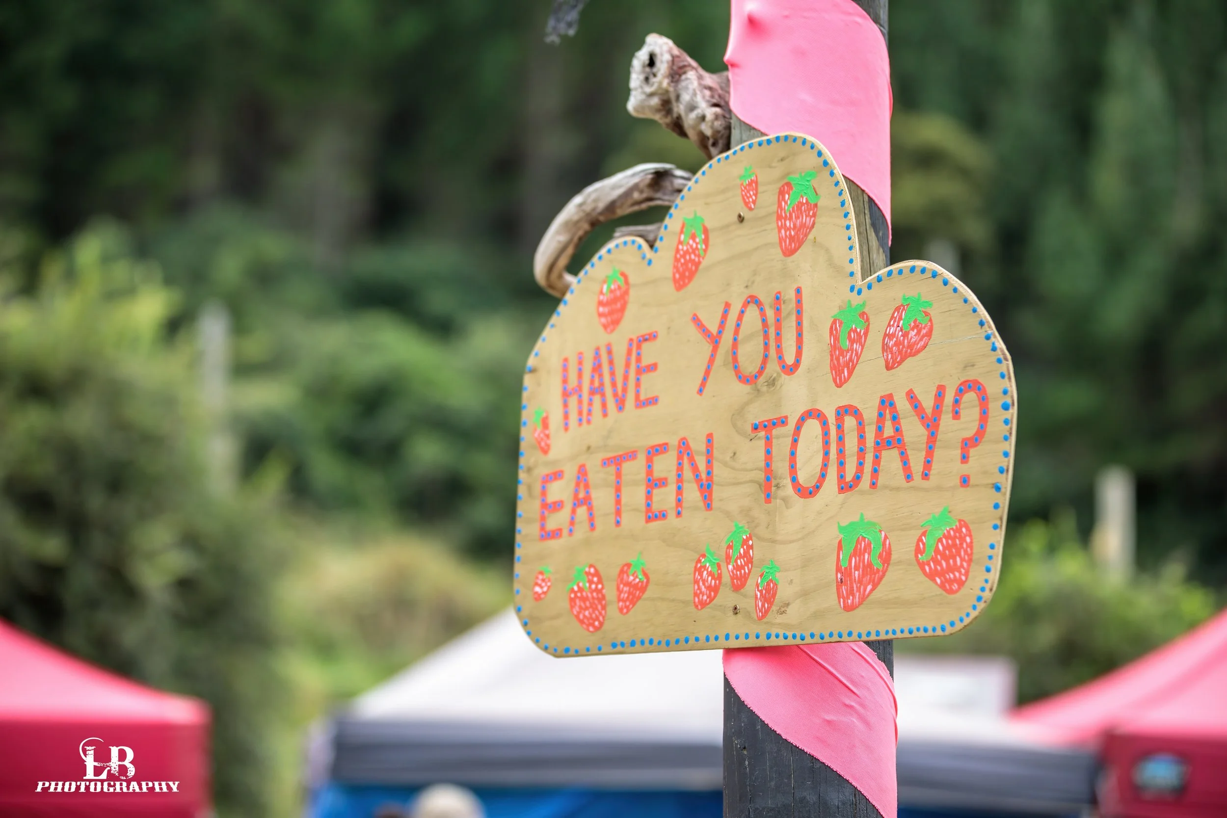 LB Photography - Yatra Festival 2023 - 8.jpg