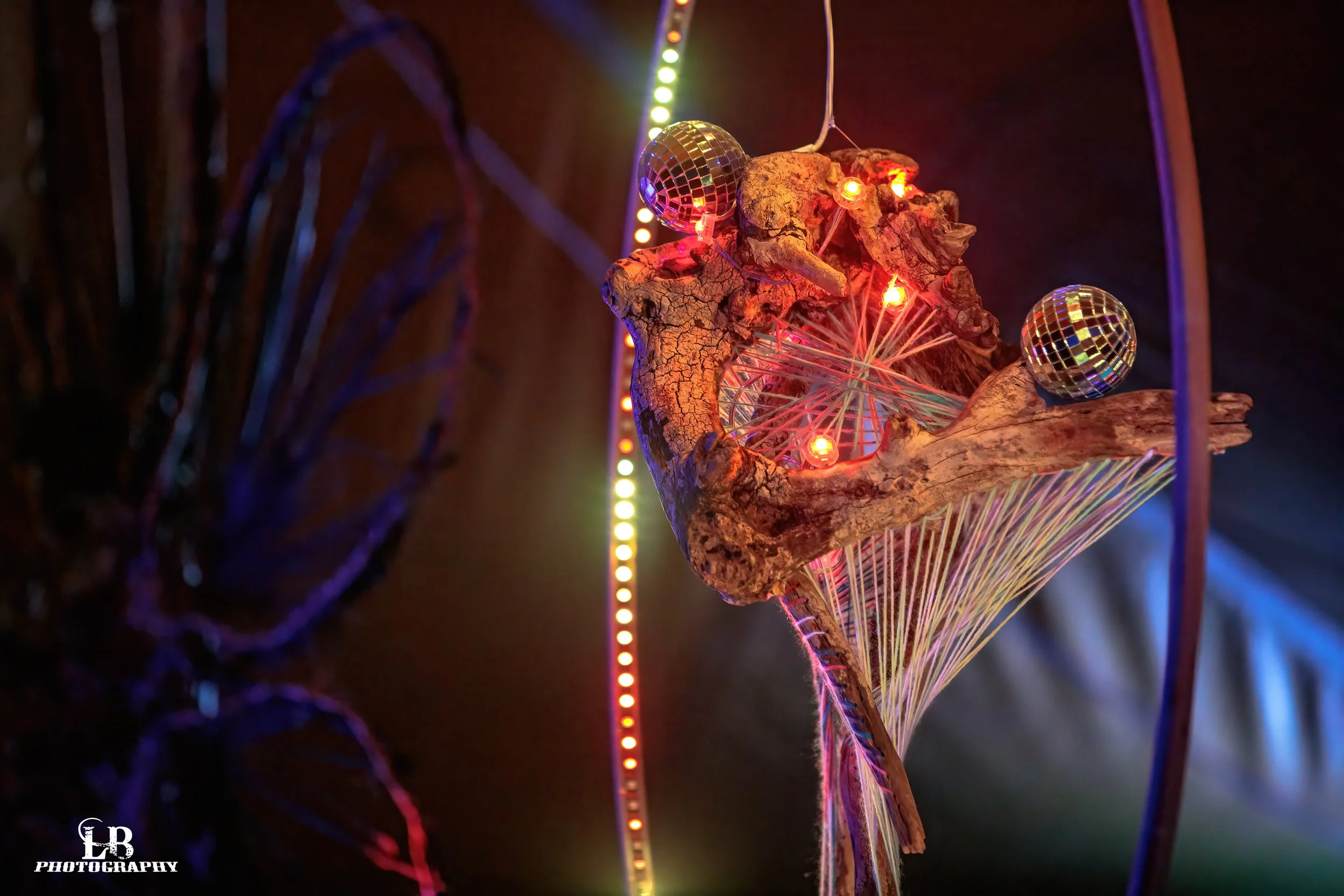 LB Photography - Yatra Festival 2023 - 96.jpg