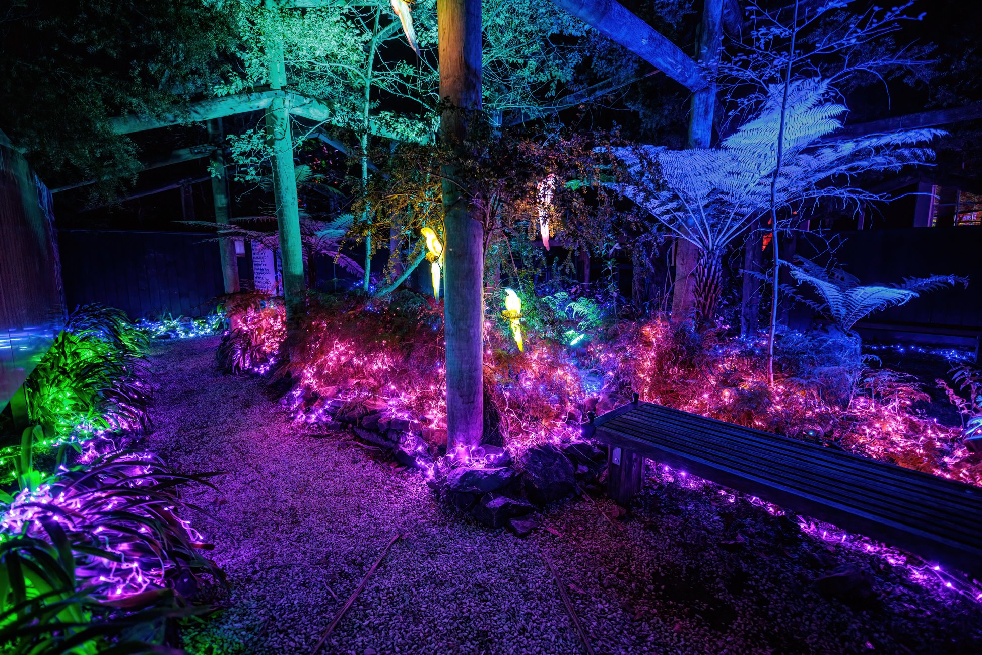 LB Photography - Illuminate 2024 - Nelson - Web  Res - 78.jpg