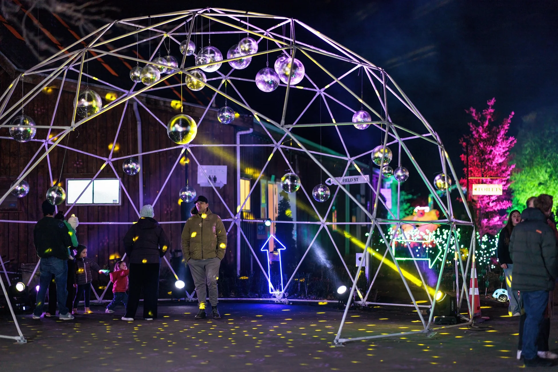LBP - Illuminate - Nelson 2025 - Web Res - 22.jpg