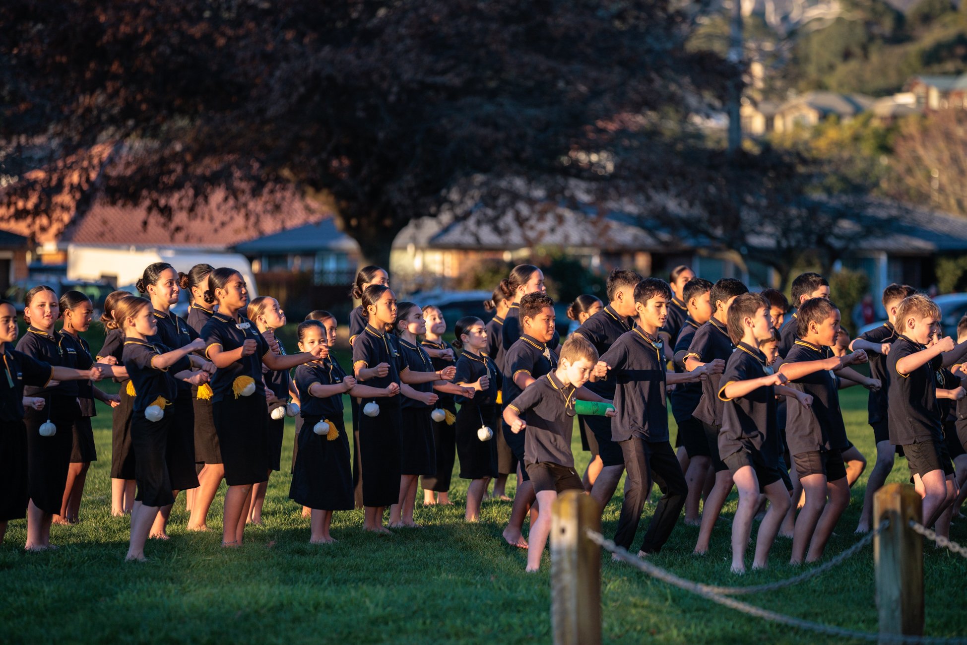 LBP - Matariki Festival - Nelson 2026 - 1.jpg