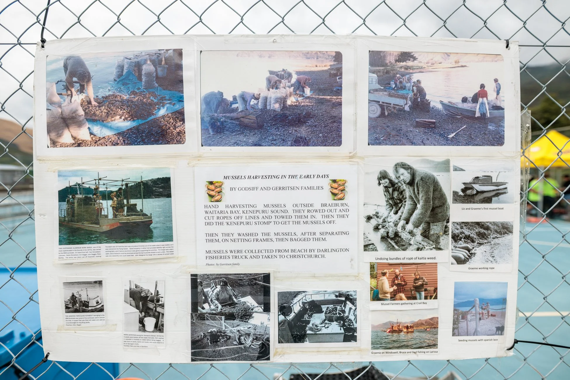 LBP - Havelock Mussel - 2025 - Web Res-53.jpg