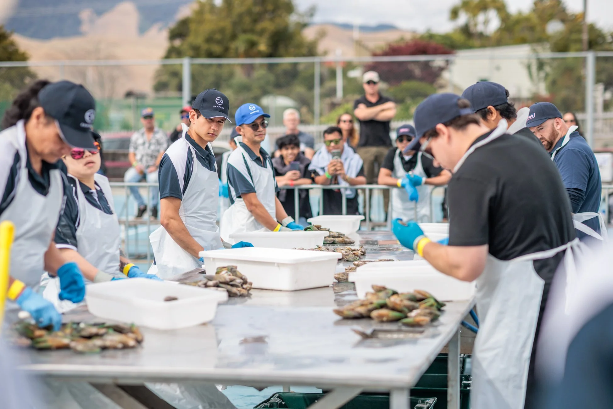 LBP - Havelock Mussel - 2025 - Web Res-130.jpg