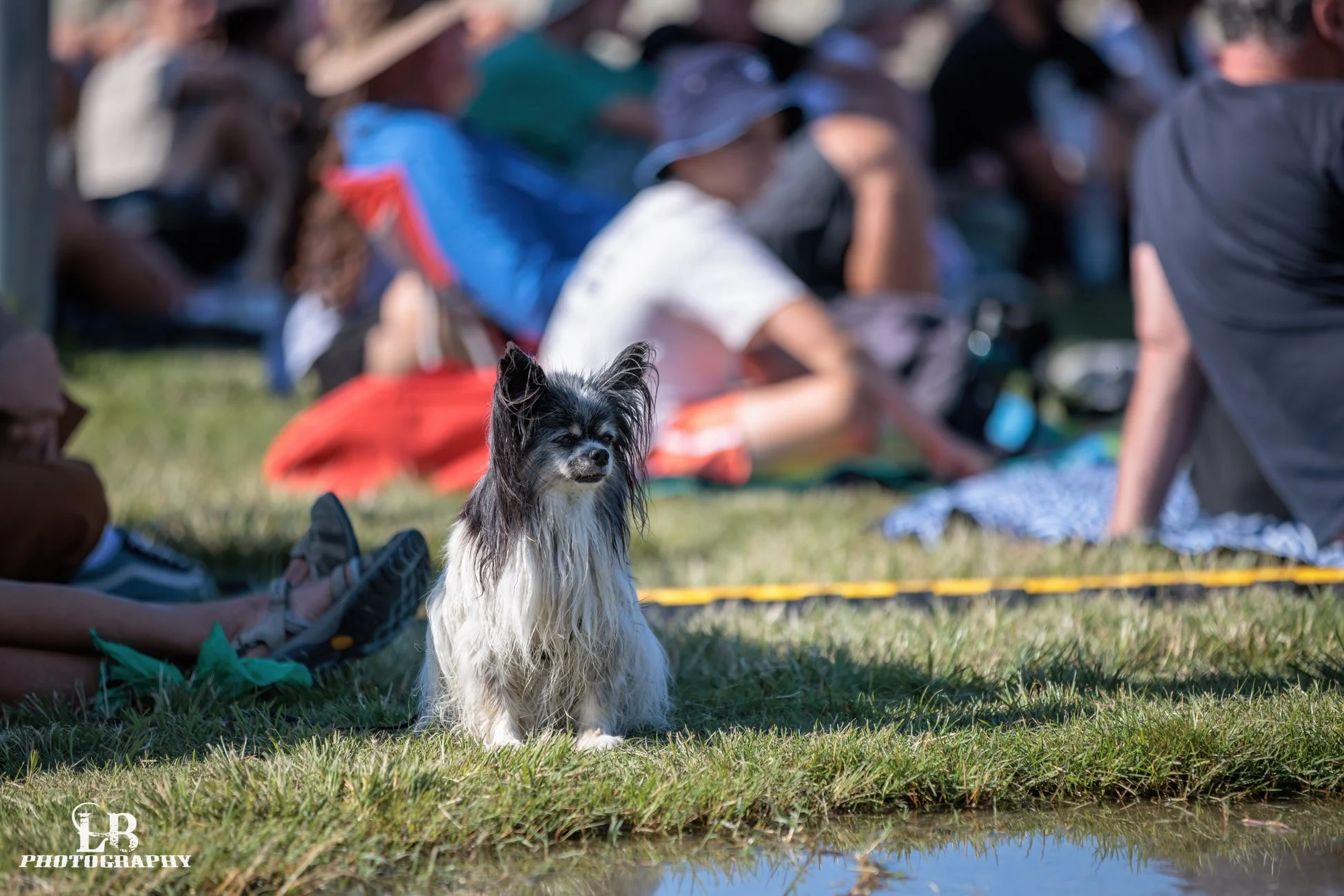 LBP - Tahuna Summer Sounds - 2025 - Web Res-22.jpg