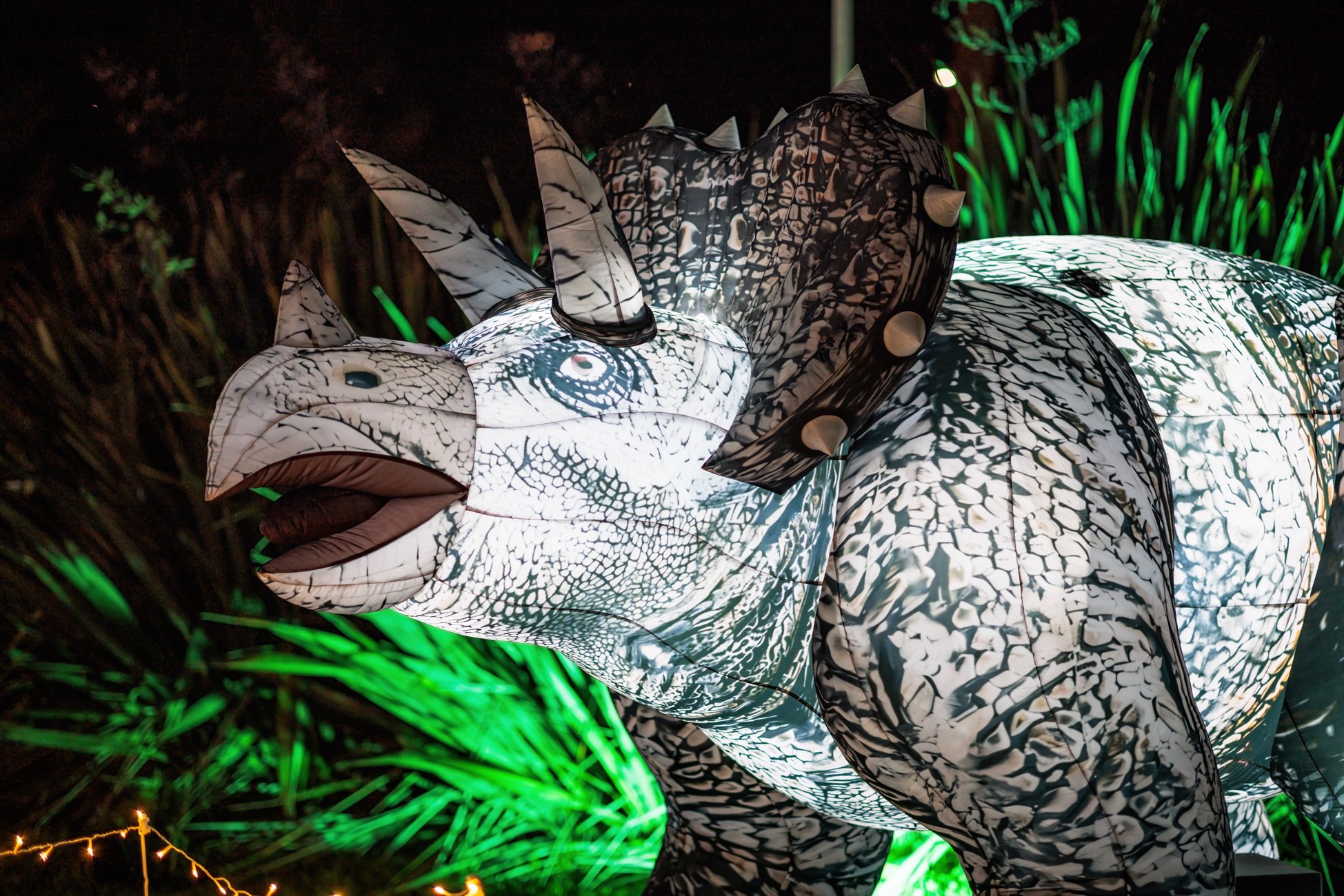 LBP - Illuminate - Nelson 2025 - Web Res - 30.jpg