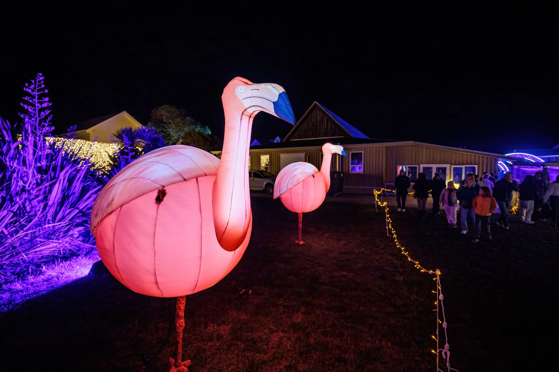 LB Photography - Illuminate 2024 - Nelson - Web  Res - 30.jpg