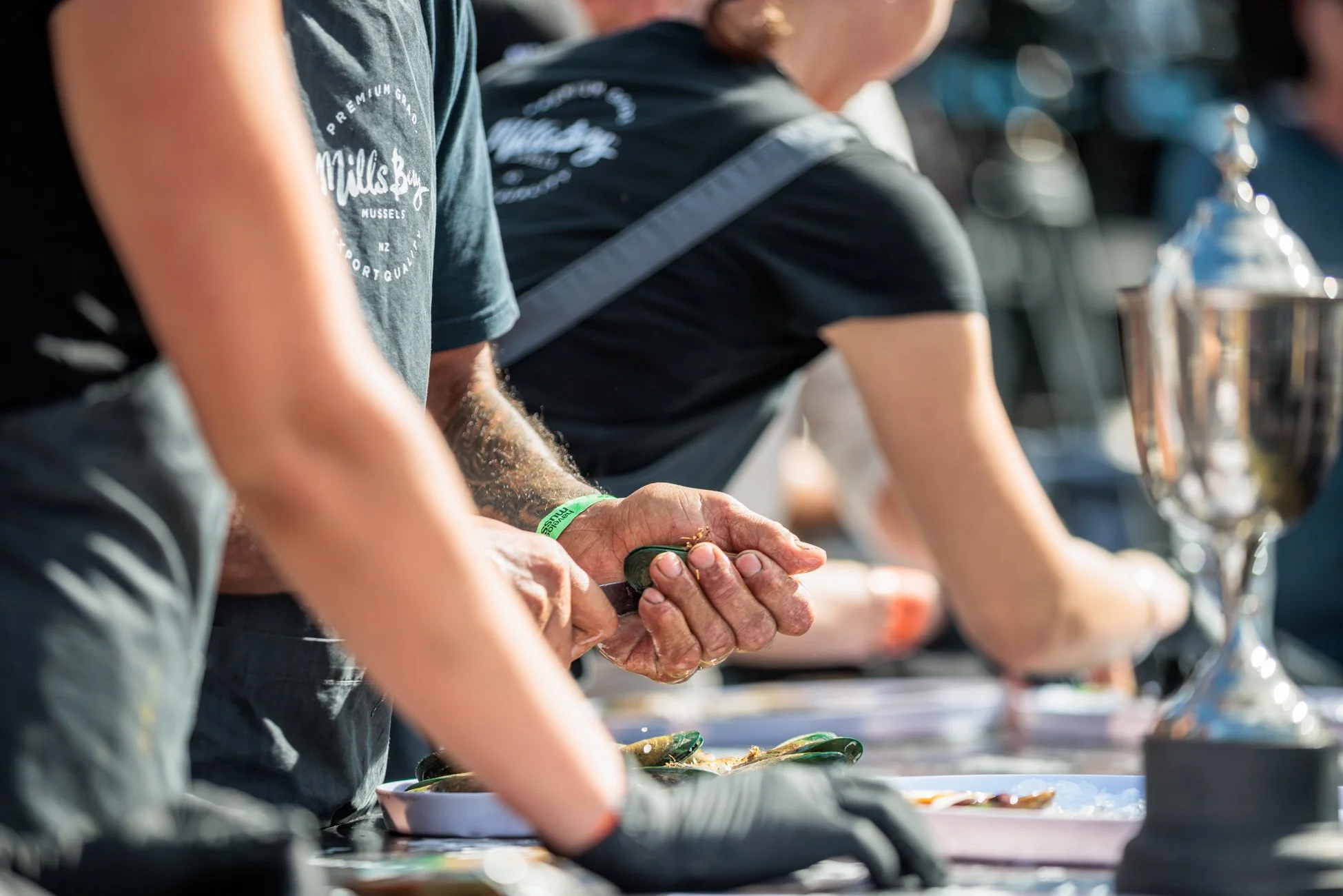 LBP - Havelock Mussel 2026 - Web Res - 100.jpg