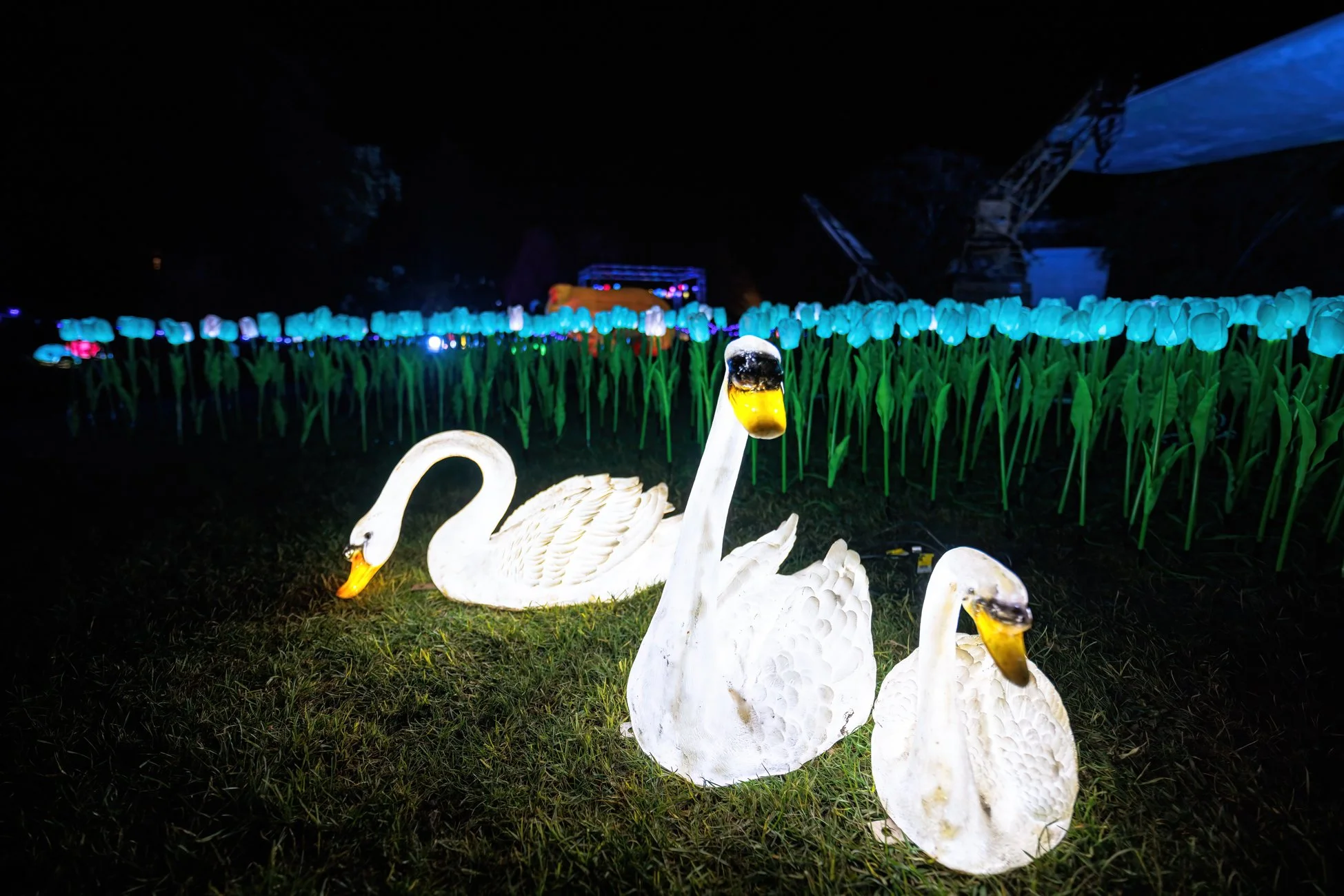 LB Photography - Illuminate 2024 - Nelson - Web  Res - 52.jpg