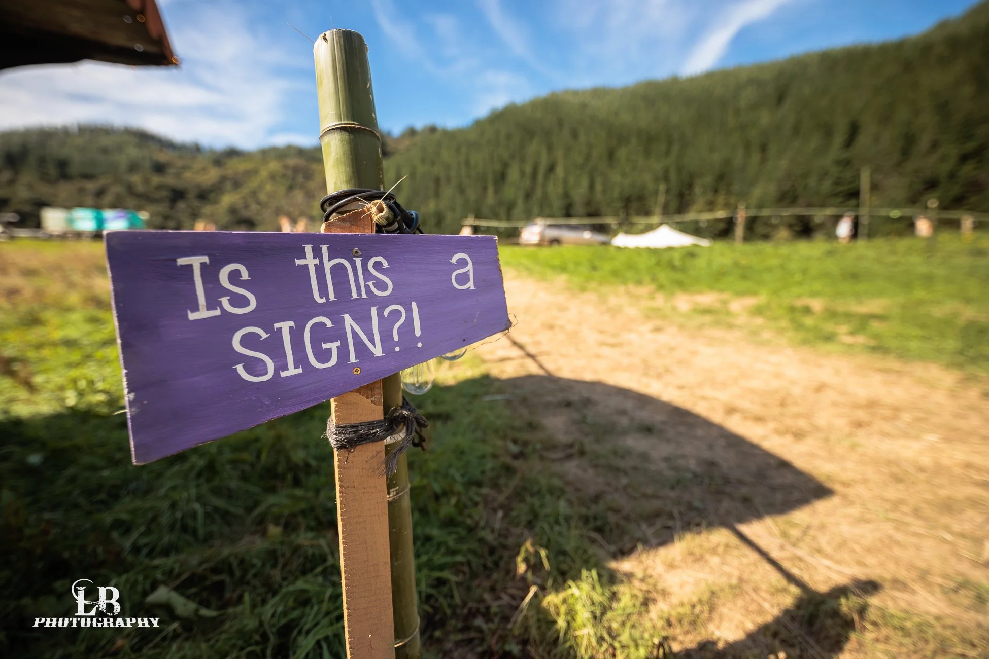 LBP - Rolling Hertz 2026 - Web Res - 10.jpg