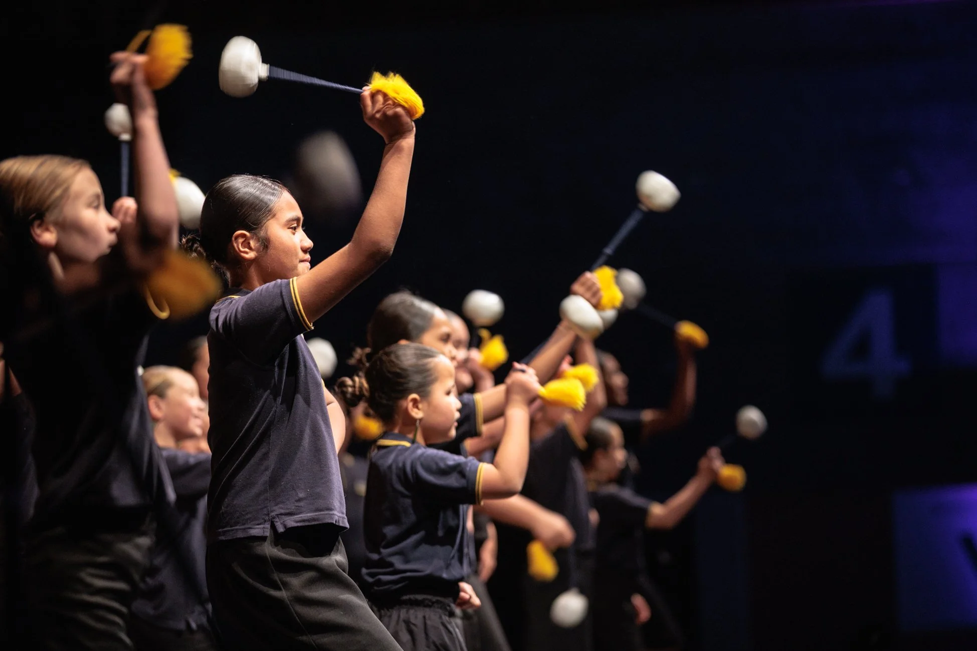 LBP - Matariki Festival - Nelson 2026 - 7.jpg