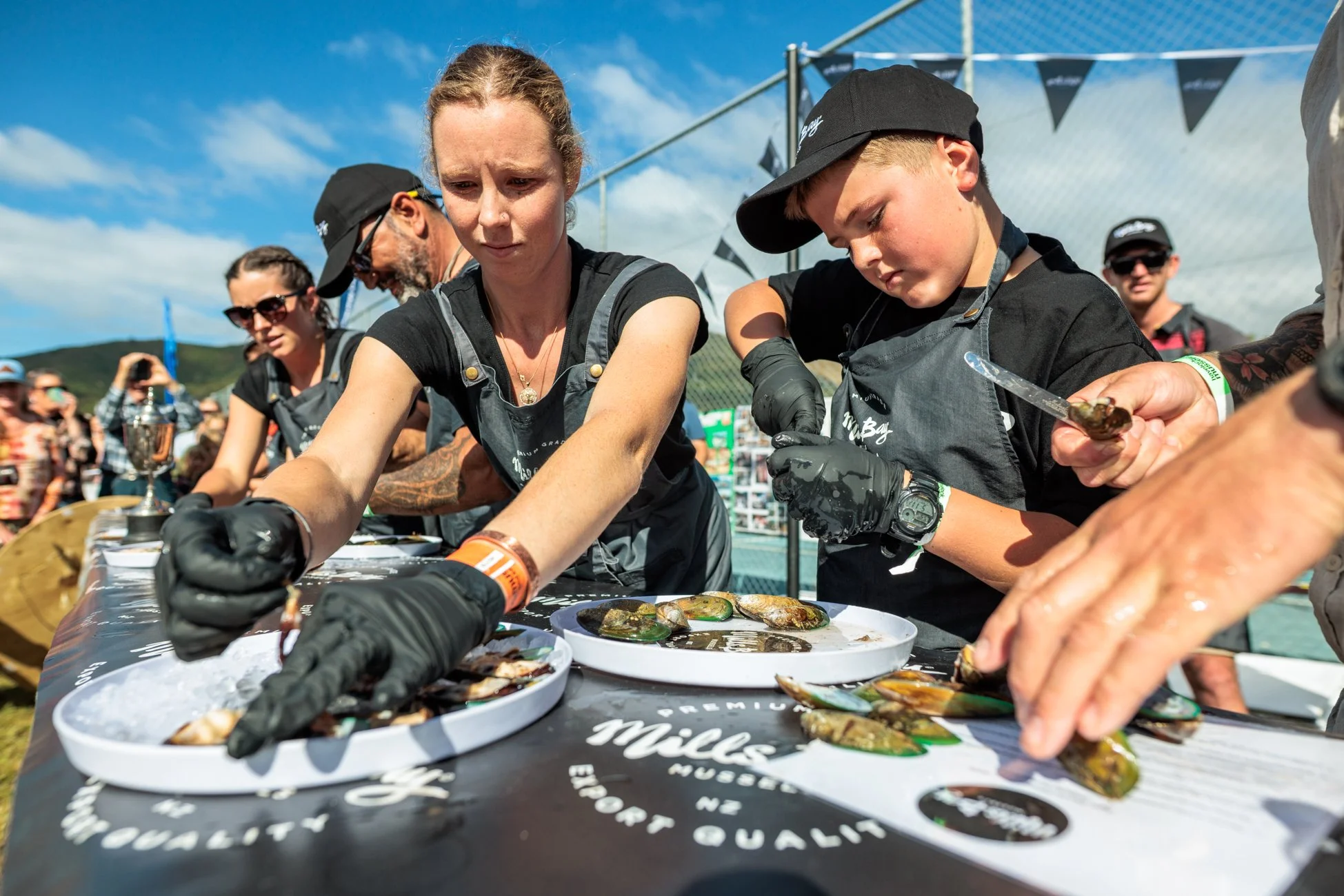 LBP - Havelock Festival - 2026