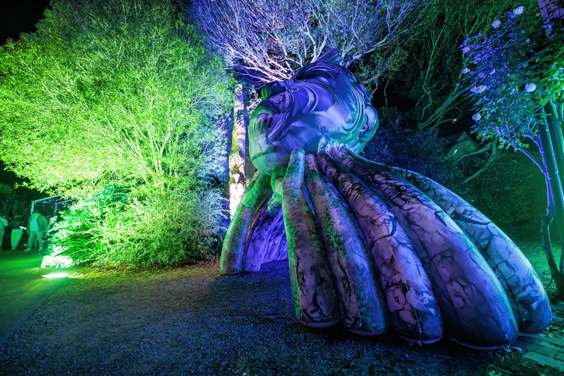 LBP - Illuminate - Nelson 2025 - Web Res - 18.jpg