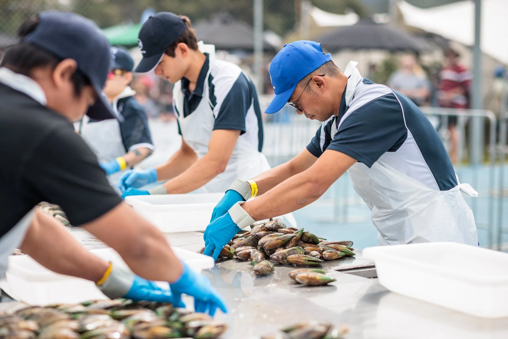 LBP - Havelock Mussel - 2025 - Web Res-128.jpg