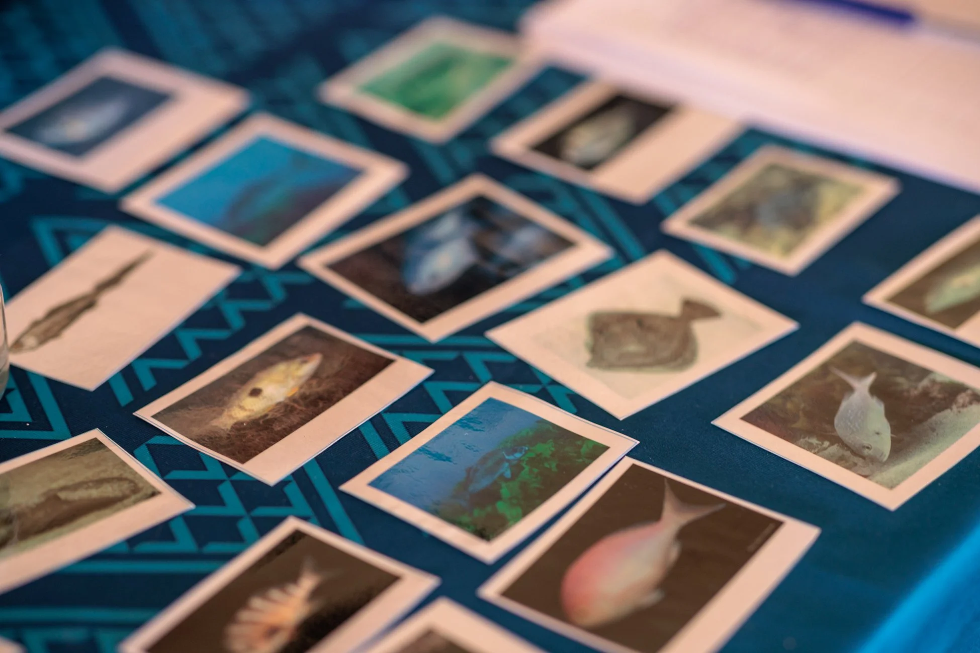 LBP - Havelock Mussel - 2025 - Web Res-99.jpg