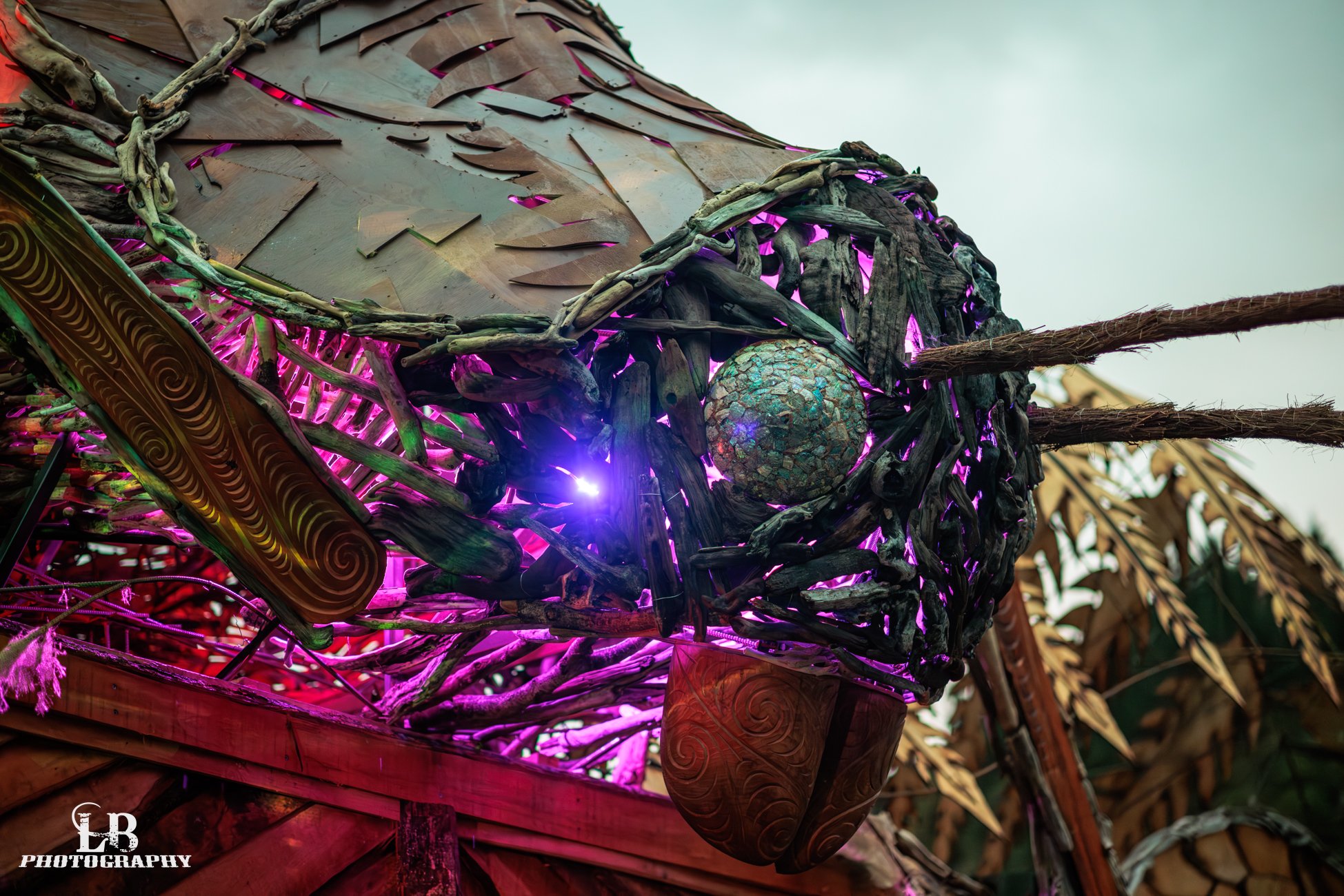 LBP - TF 25-26 - High Res - 29