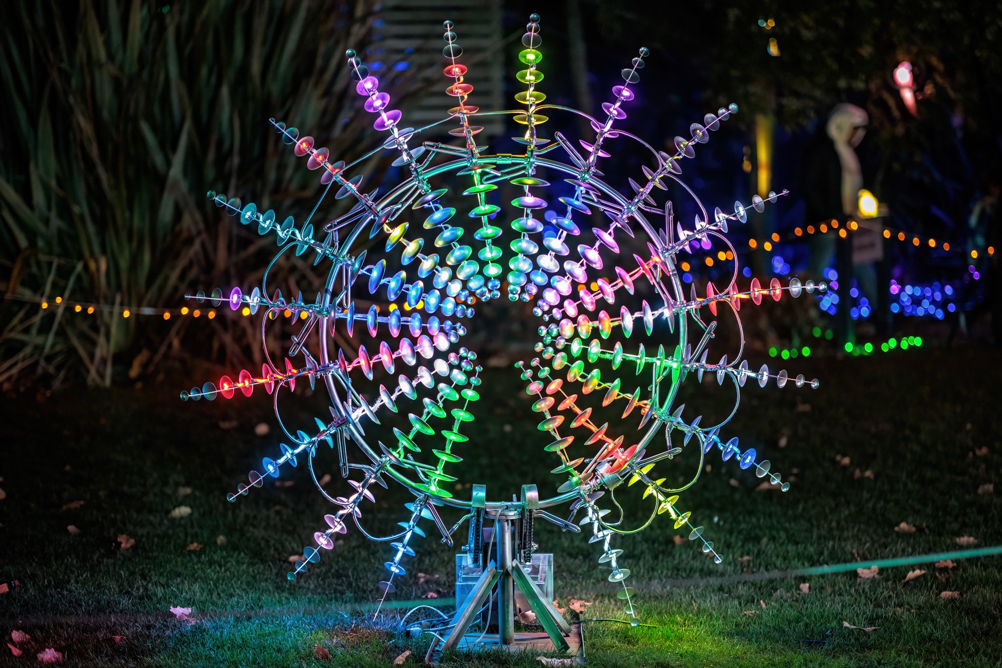 LB Photography - Illuminate 2024 - Nelson - Web  Res - 20.jpg